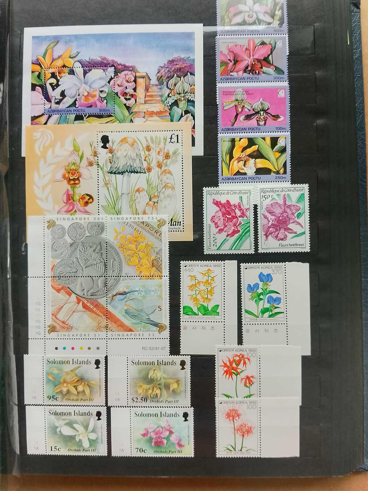 Image 87 for lot number 1332 for Auktionshaus Weiser - 787th Auction