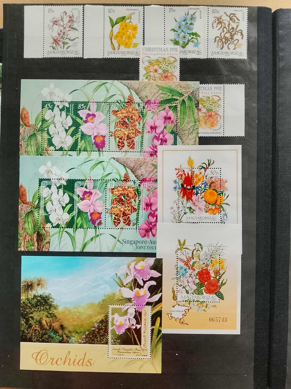 Image 88 for lot number 1332 for Auktionshaus Weiser - 787th Auction