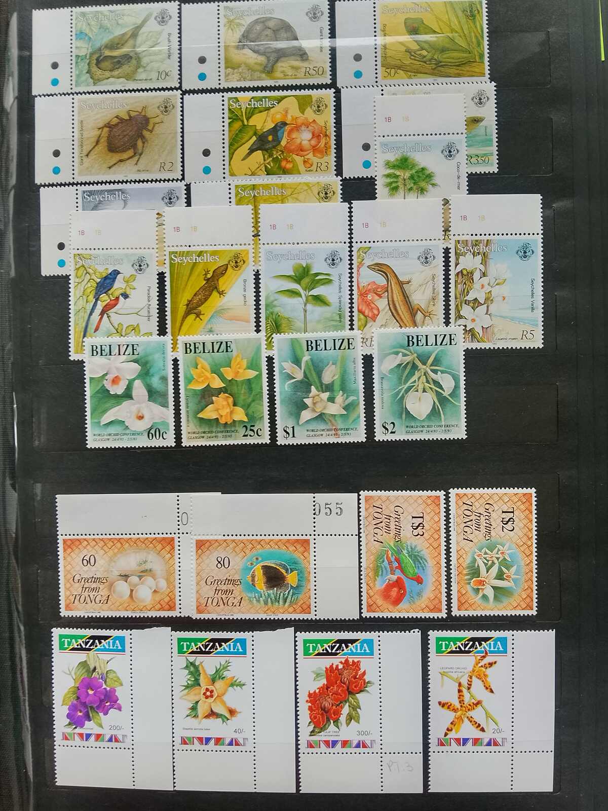 Image 89 for lot number 1332 for Auktionshaus Weiser - 787th Auction