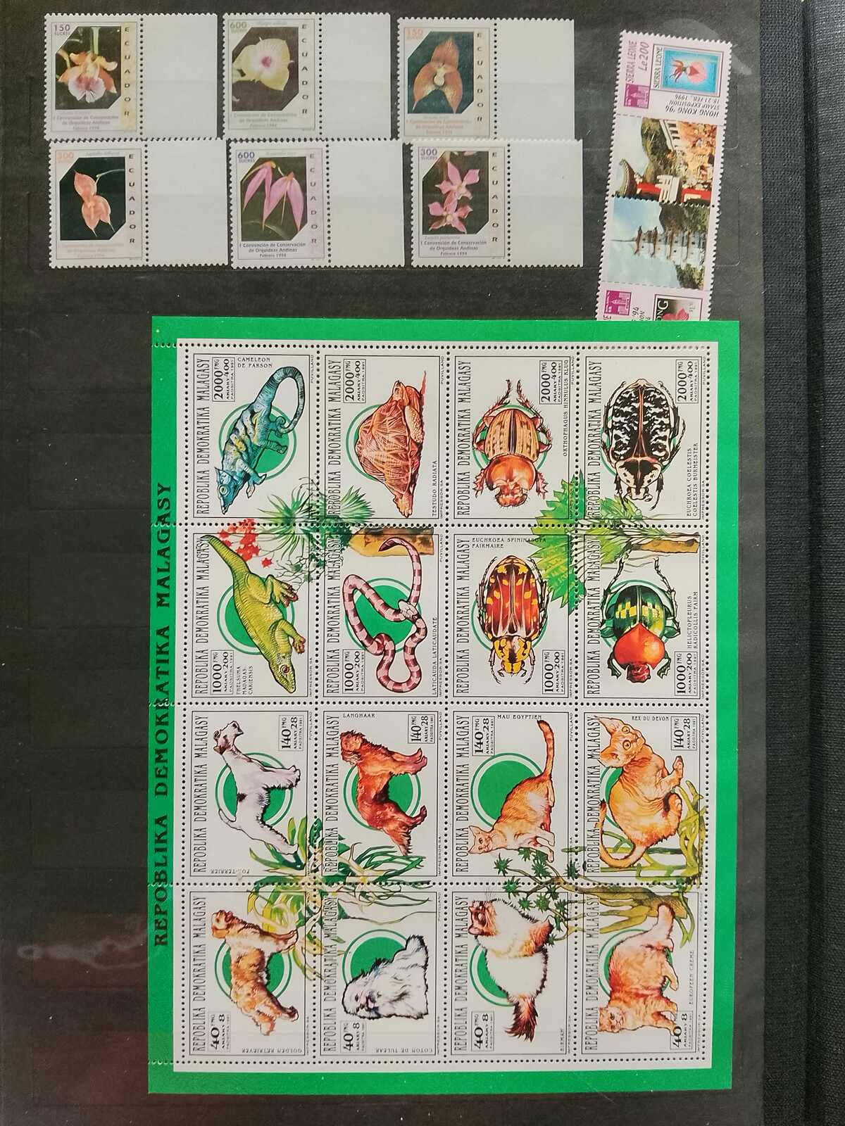 Image 90 for lot number 1332 for Auktionshaus Weiser - 787th Auction