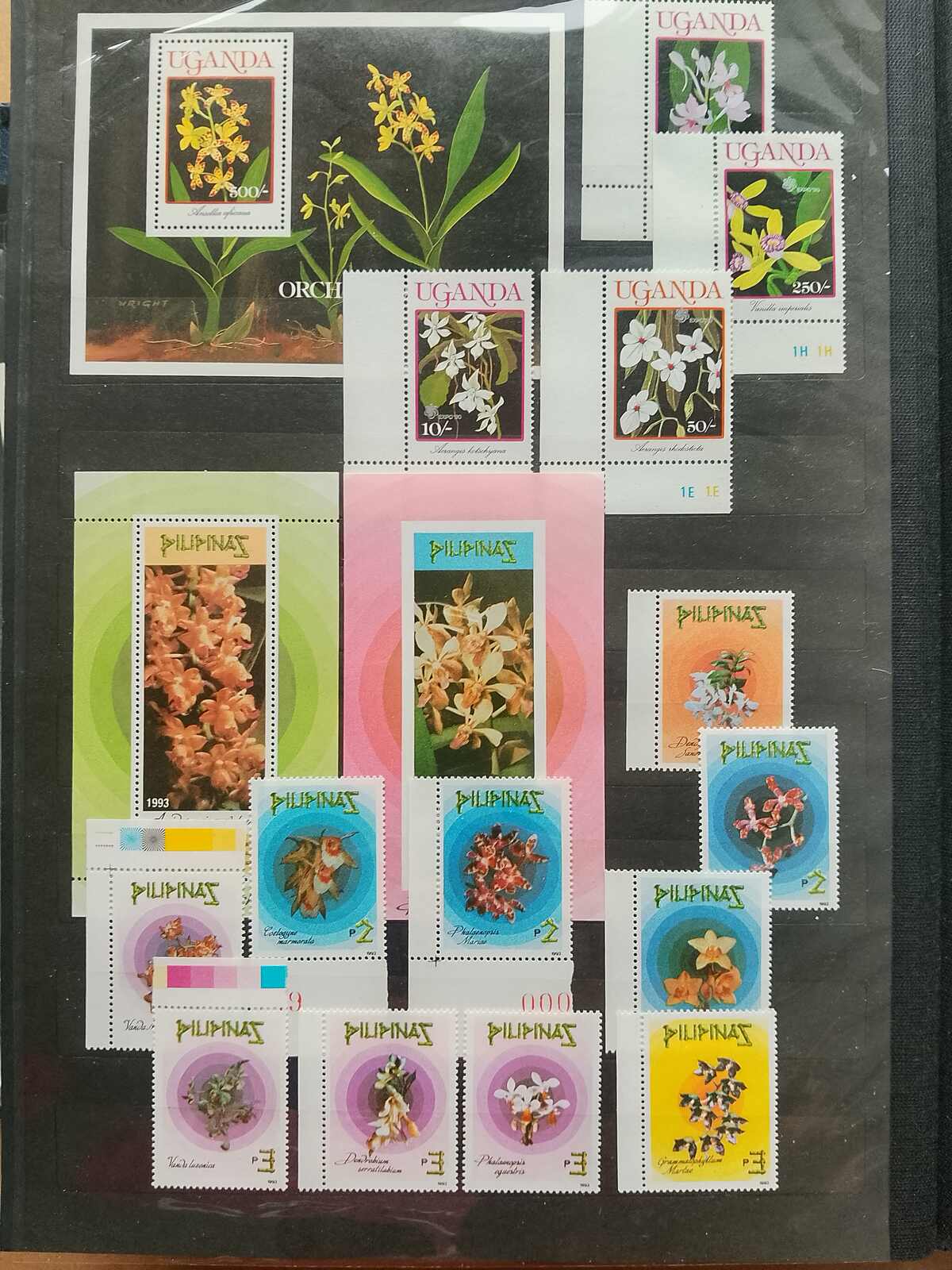 Image 94 for lot number 1332 for Auktionshaus Weiser - 787th Auction