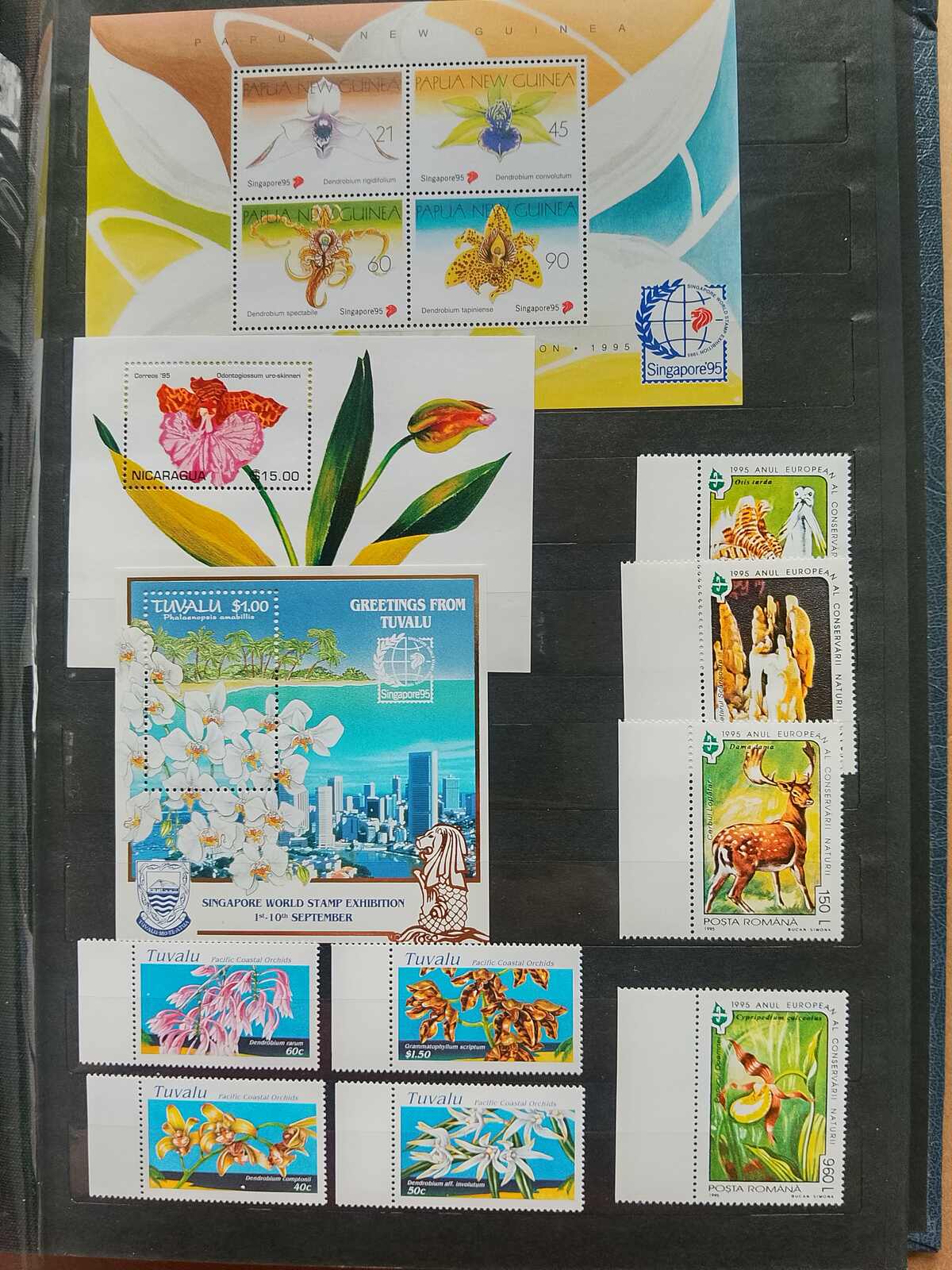 Image 97 for lot number 1332 for Auktionshaus Weiser - 787th Auction