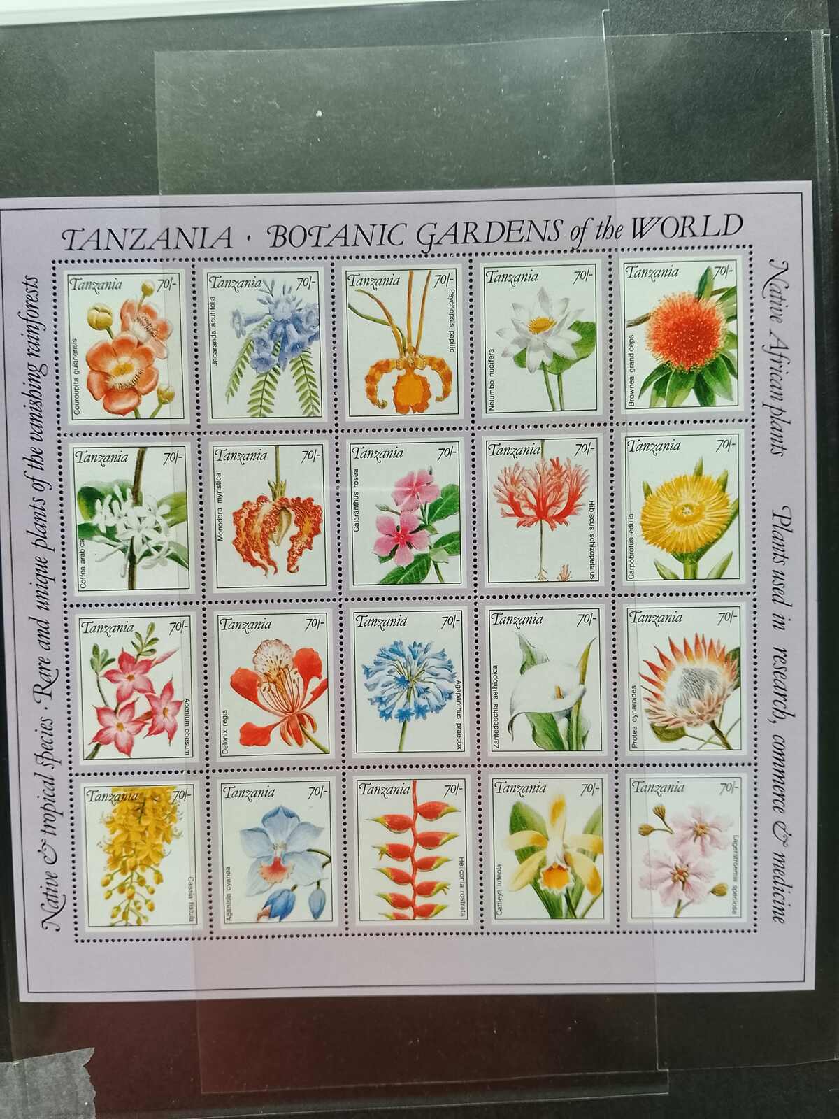 Image 101 for lot number 1332 for Auktionshaus Weiser - 787th Auction