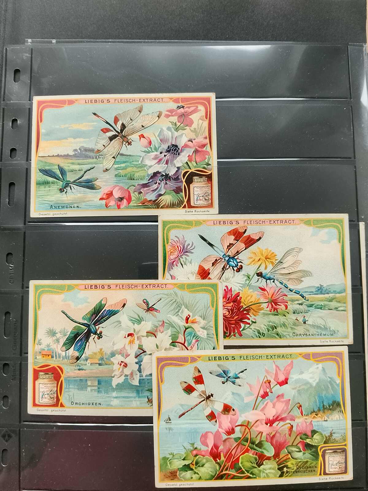 Image 102 for lot number 1332 for Auktionshaus Weiser - 787th Auction