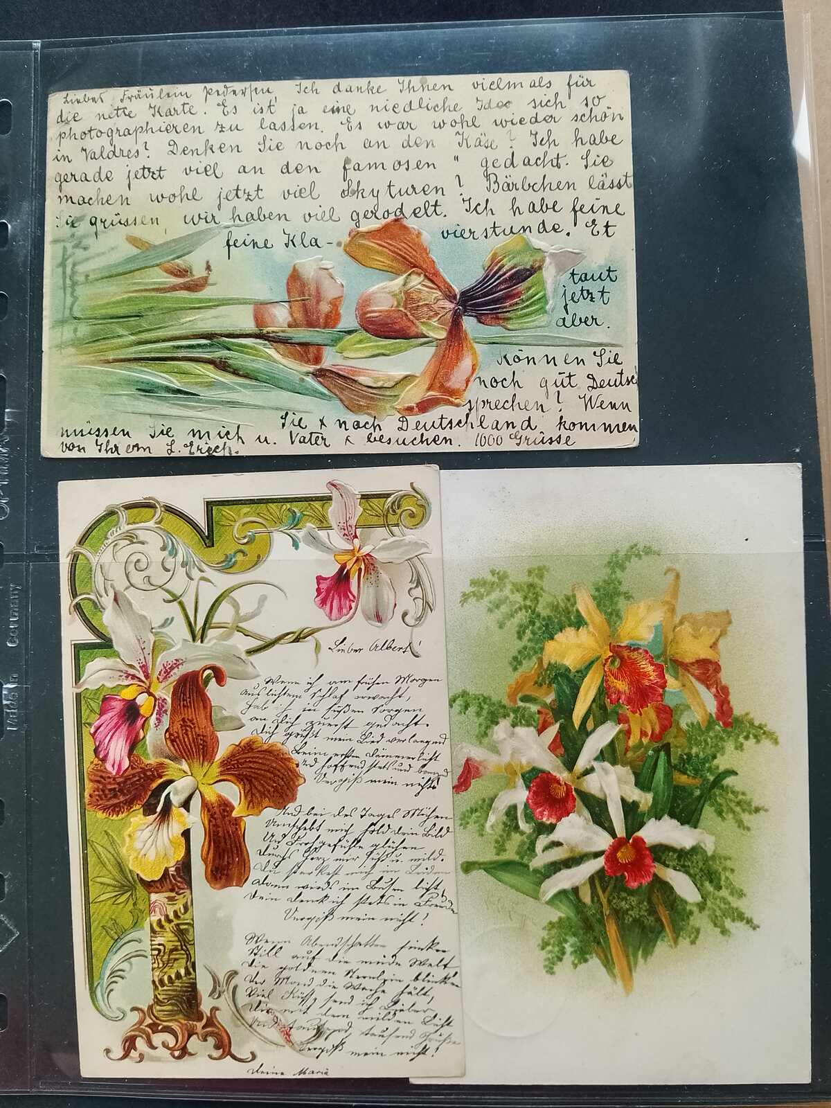 Image 104 for lot number 1332 for Auktionshaus Weiser - 787th Auction