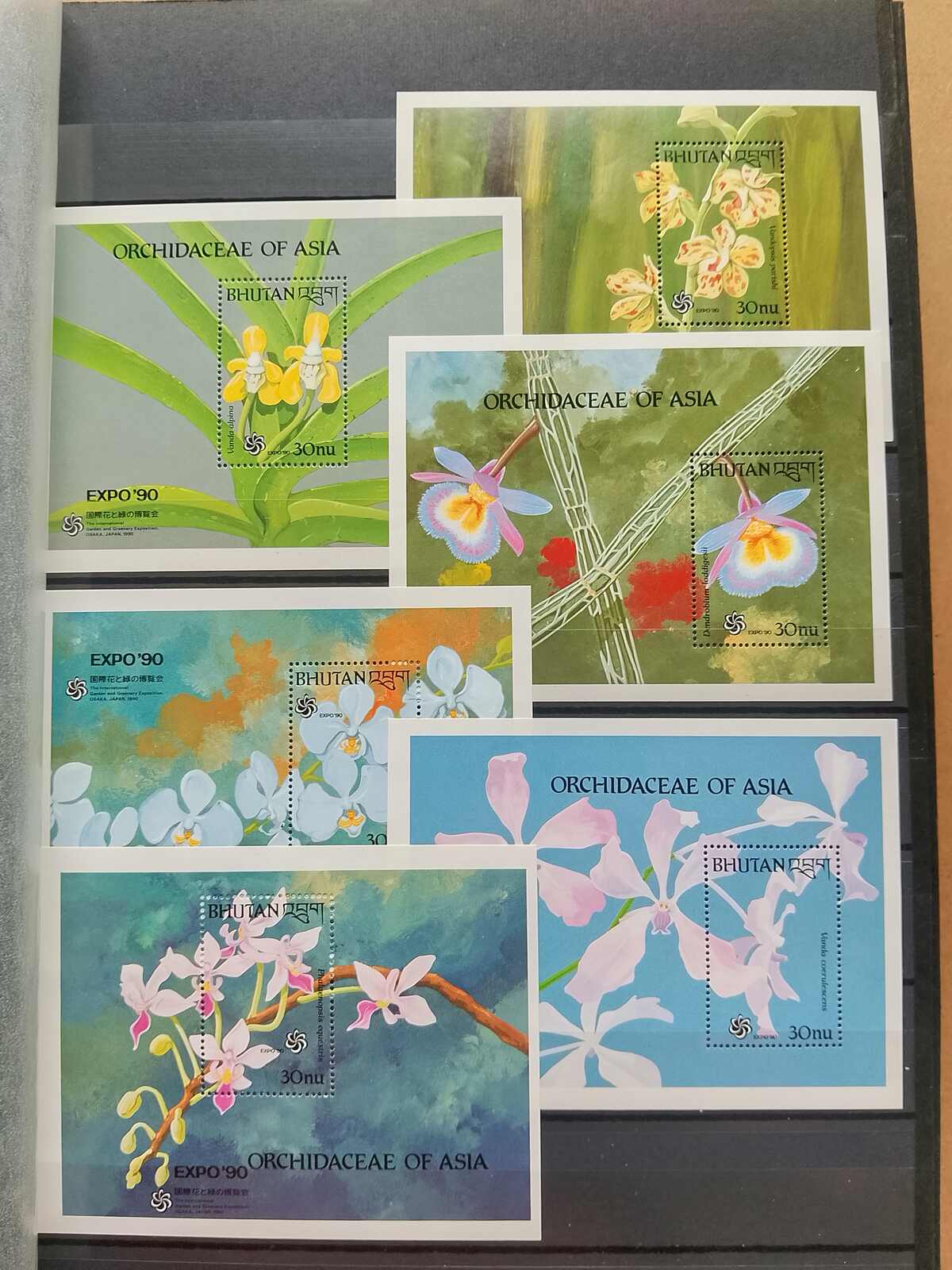 Image 109 for lot number 1332 for Auktionshaus Weiser - 787th Auction