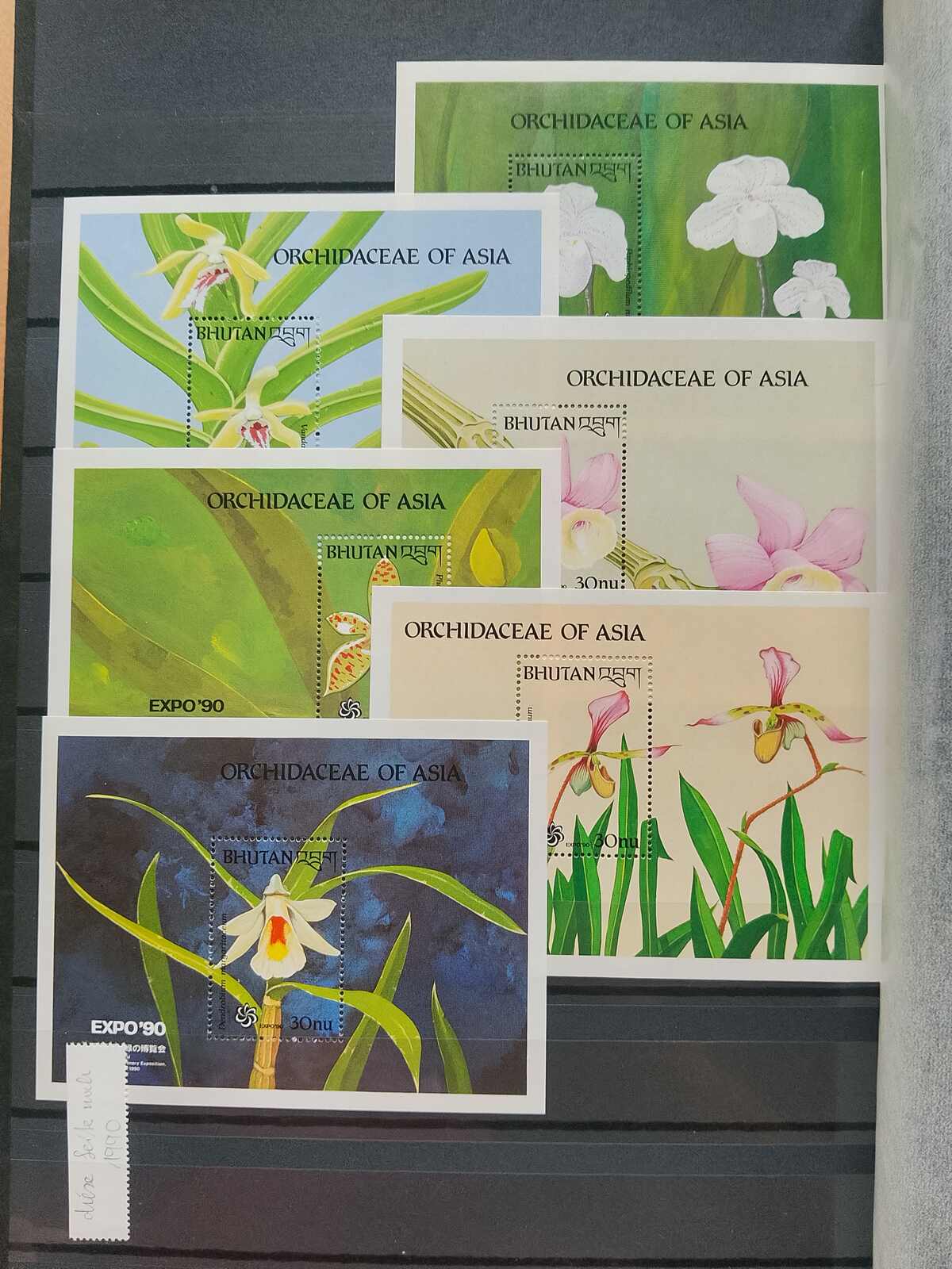 Image 110 for lot number 1332 for Auktionshaus Weiser - 787th Auction