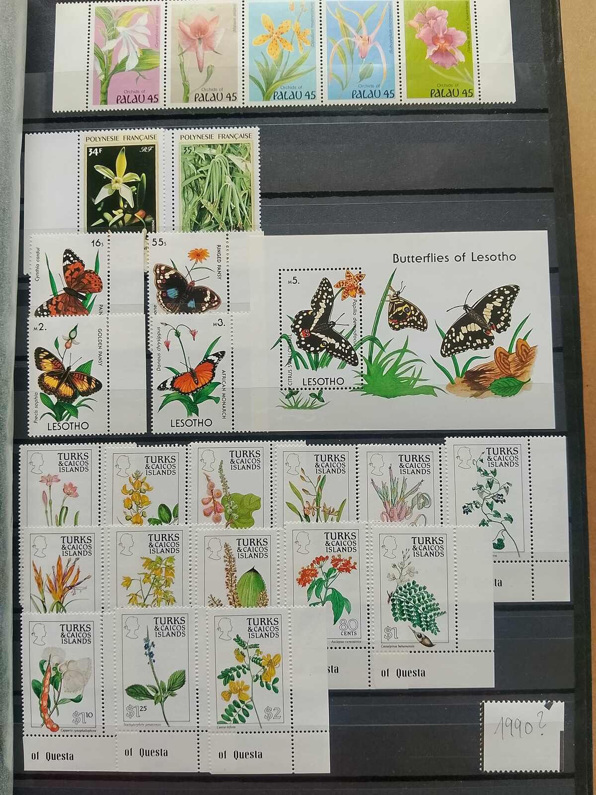 Image 111 for lot number 1332 for Auktionshaus Weiser - 787th Auction