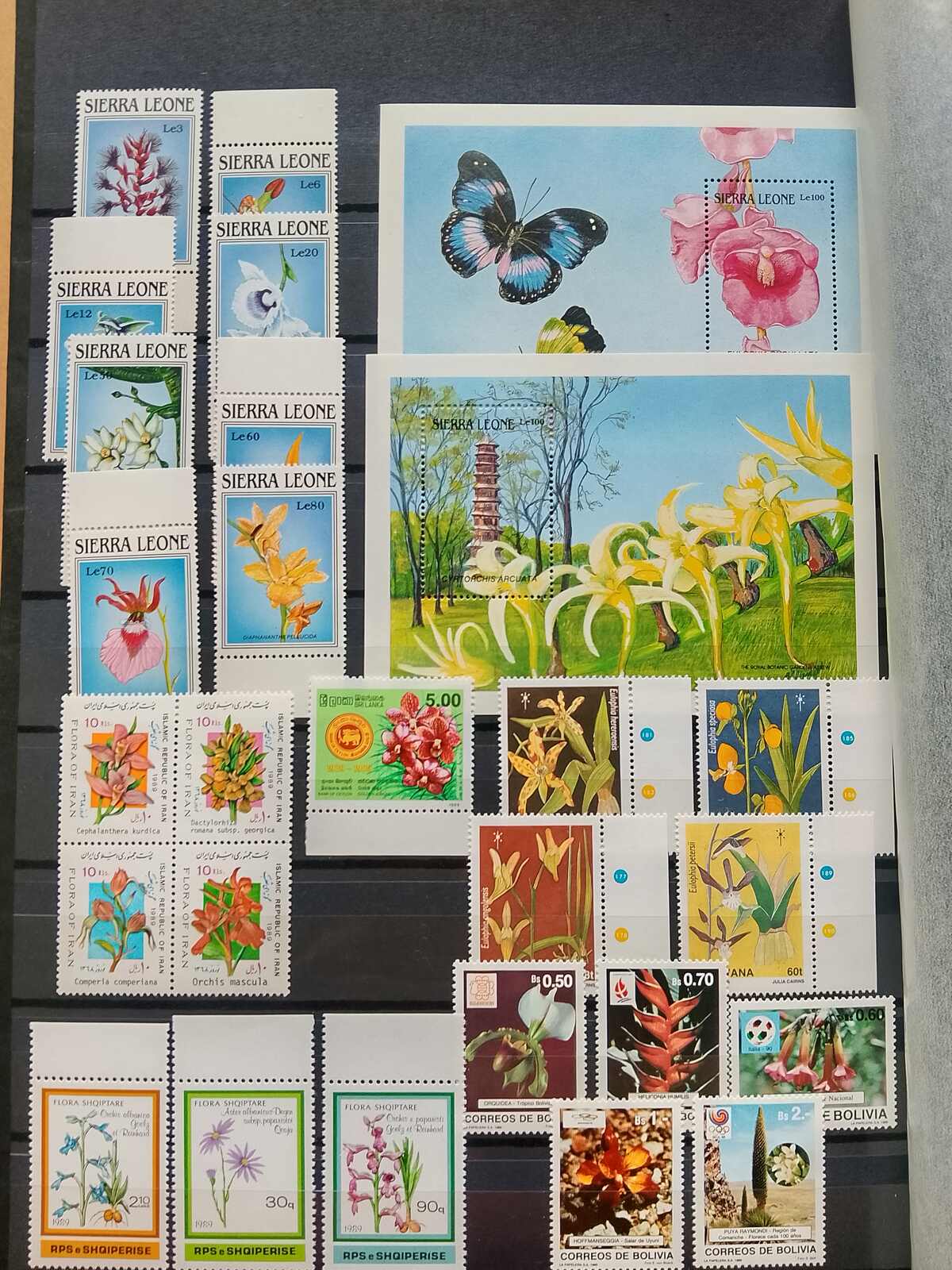 Image 118 for lot number 1332 for Auktionshaus Weiser - 787th Auction