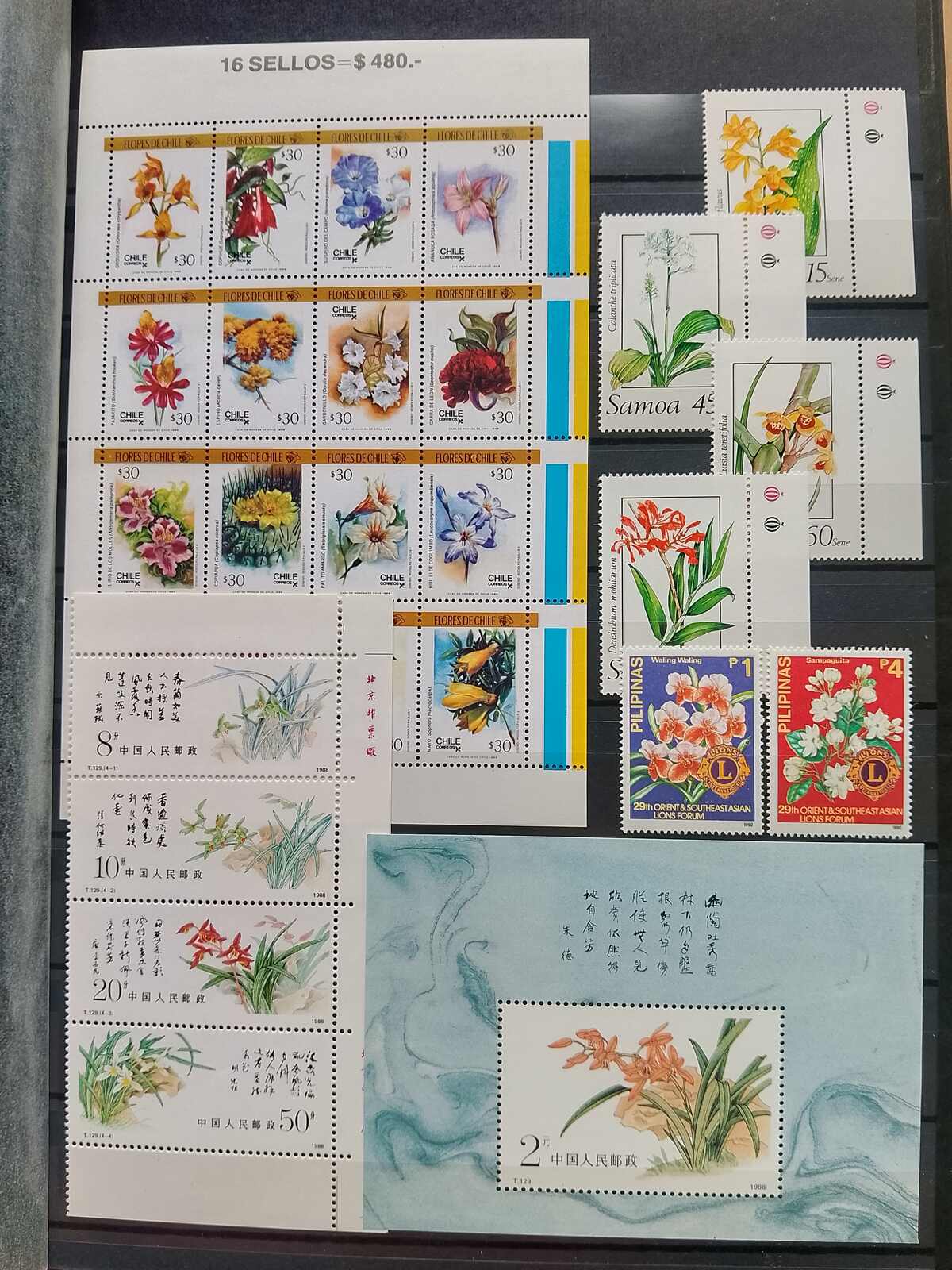 Image 121 for lot number 1332 for Auktionshaus Weiser - 787th Auction