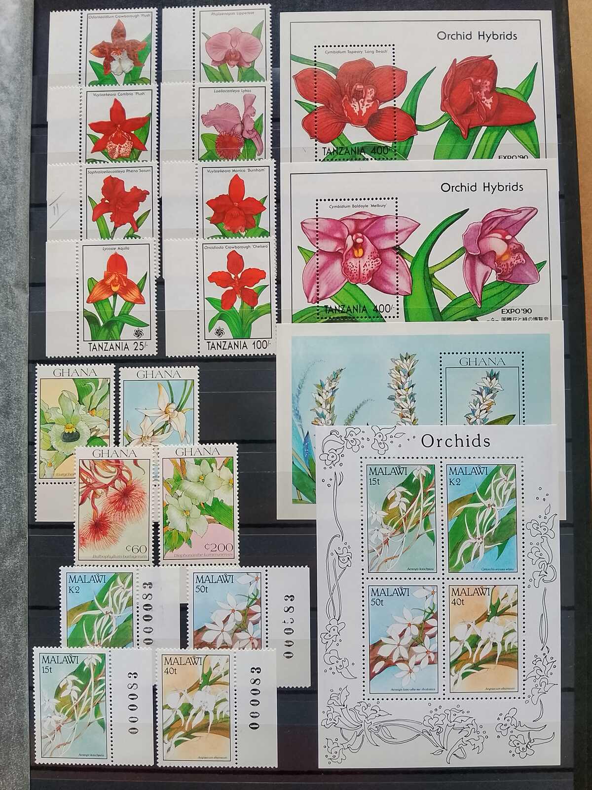 Image 125 for lot number 1332 for Auktionshaus Weiser - 787th Auction