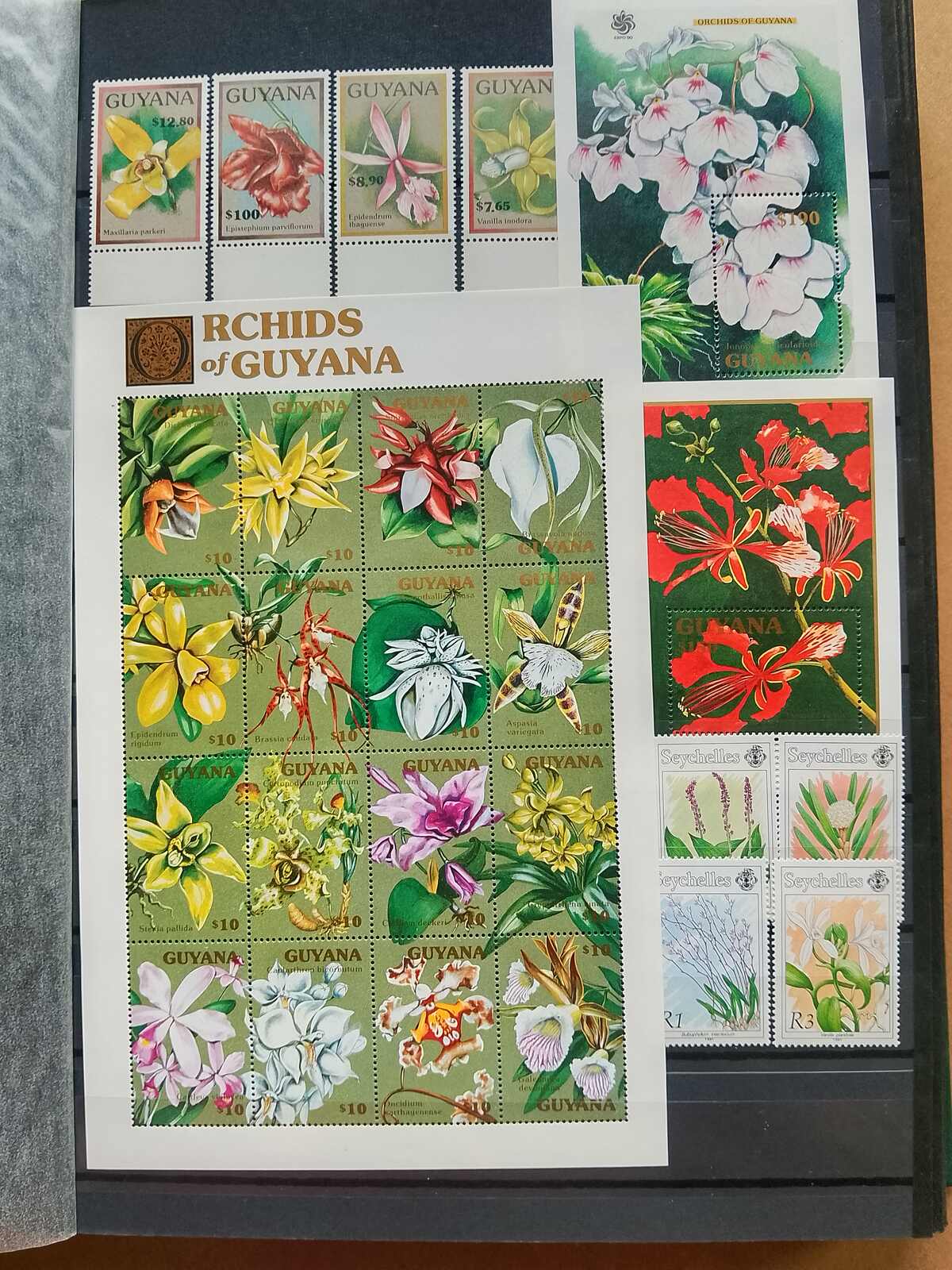 Image 127 for lot number 1332 for Auktionshaus Weiser - 787th Auction