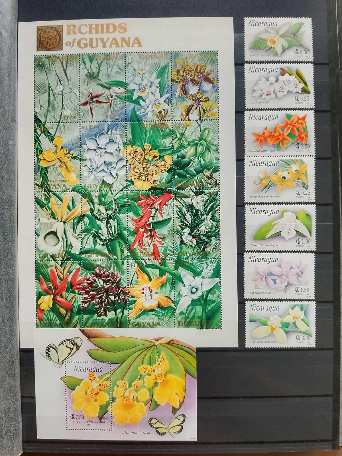 Image 131 for lot number 1332 for Auktionshaus Weiser - 787th Auction