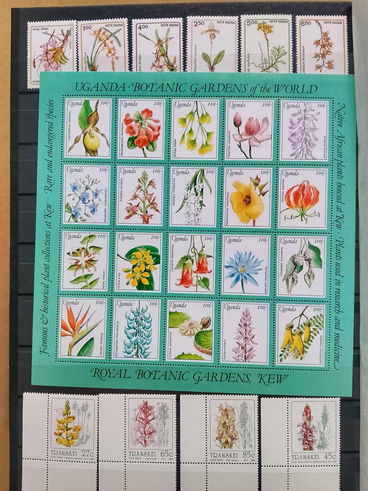 Image 134 for lot number 1332 for Auktionshaus Weiser - 787th Auction