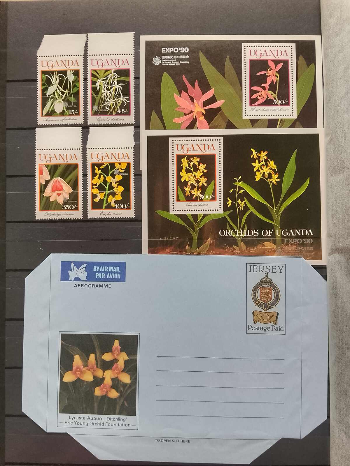 Image 138 for lot number 1332 for Auktionshaus Weiser - 787th Auction