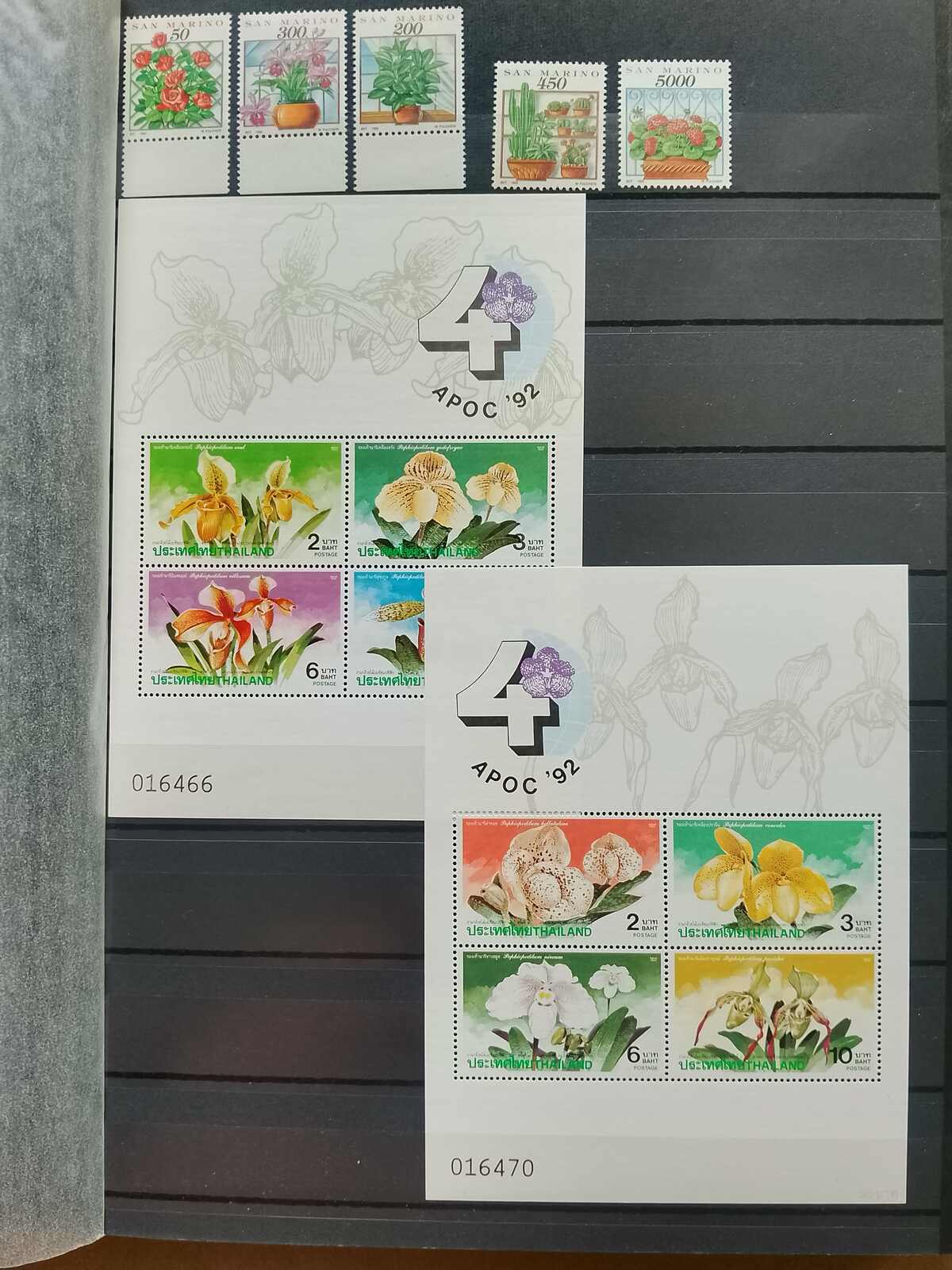 Image 139 for lot number 1332 for Auktionshaus Weiser - 787th Auction