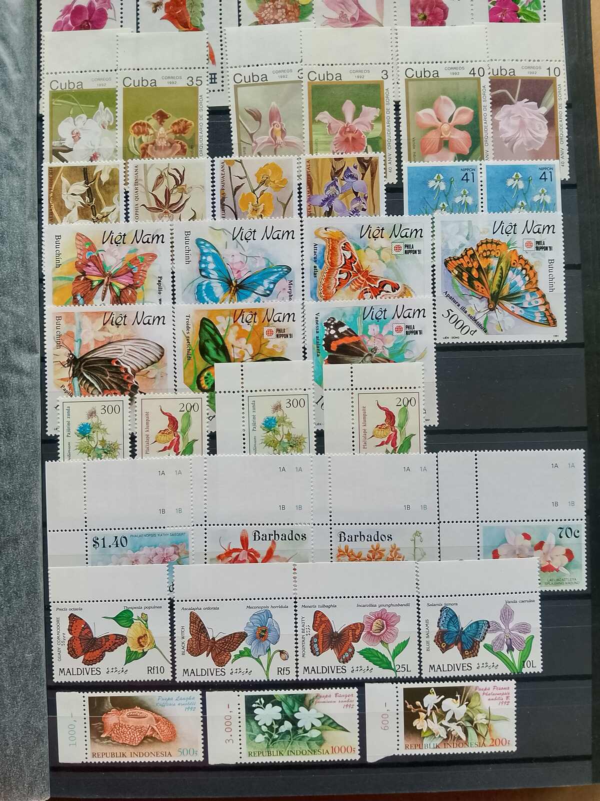 Image 141 for lot number 1332 for Auktionshaus Weiser - 787th Auction