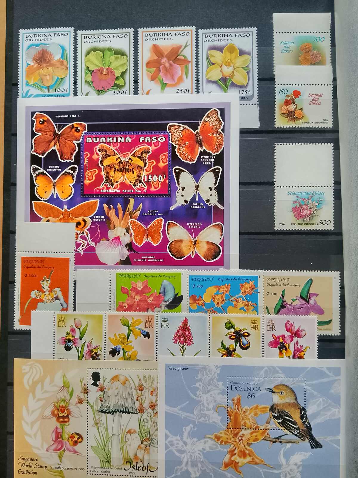 Image 145 for lot number 1332 for Auktionshaus Weiser - 787th Auction