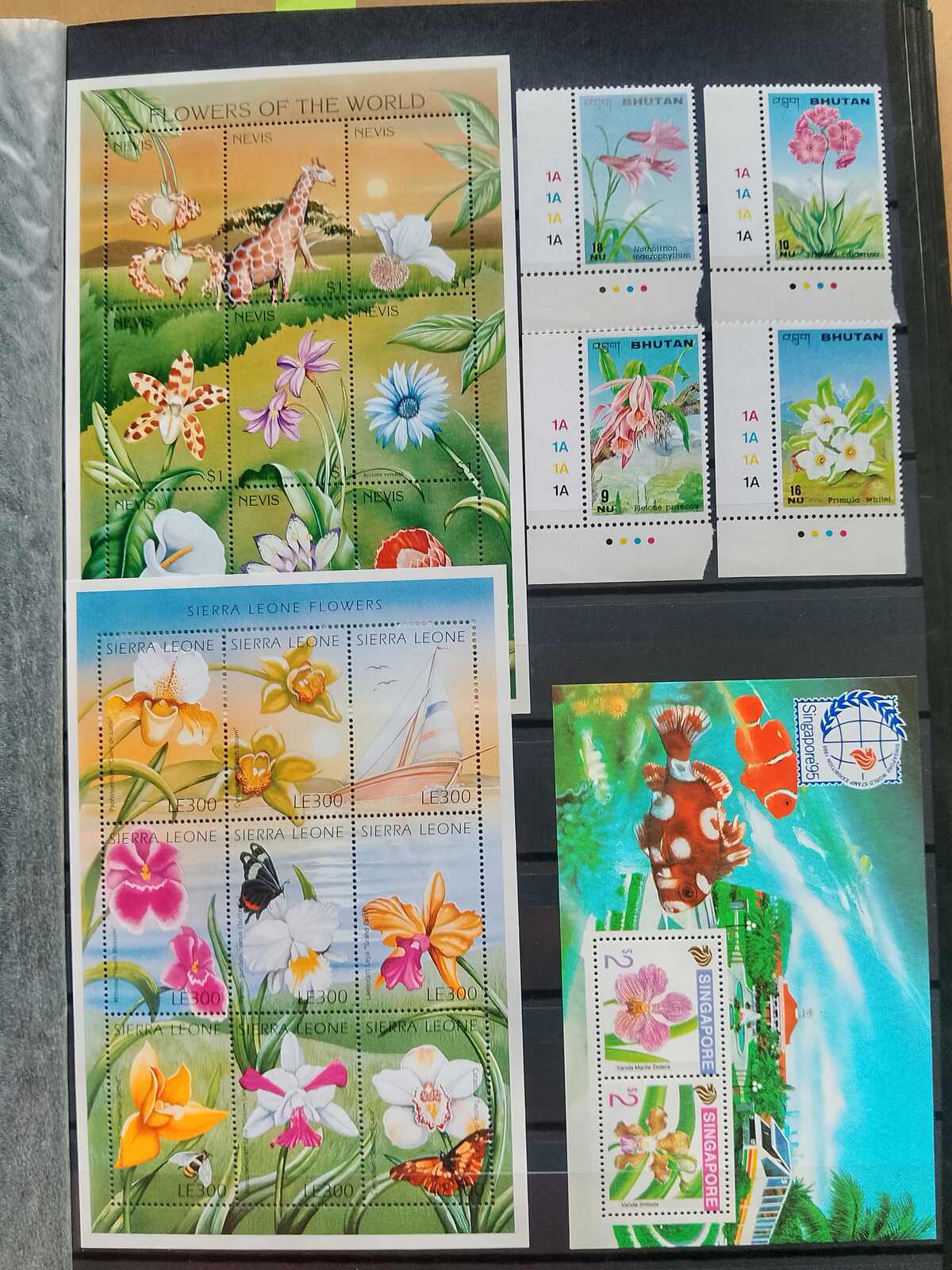 Image 146 for lot number 1332 for Auktionshaus Weiser - 787th Auction