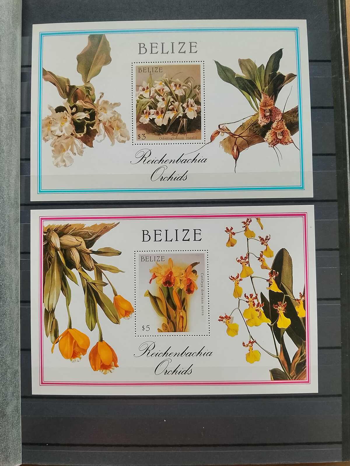 Image 147 for lot number 1332 for Auktionshaus Weiser - 787th Auction