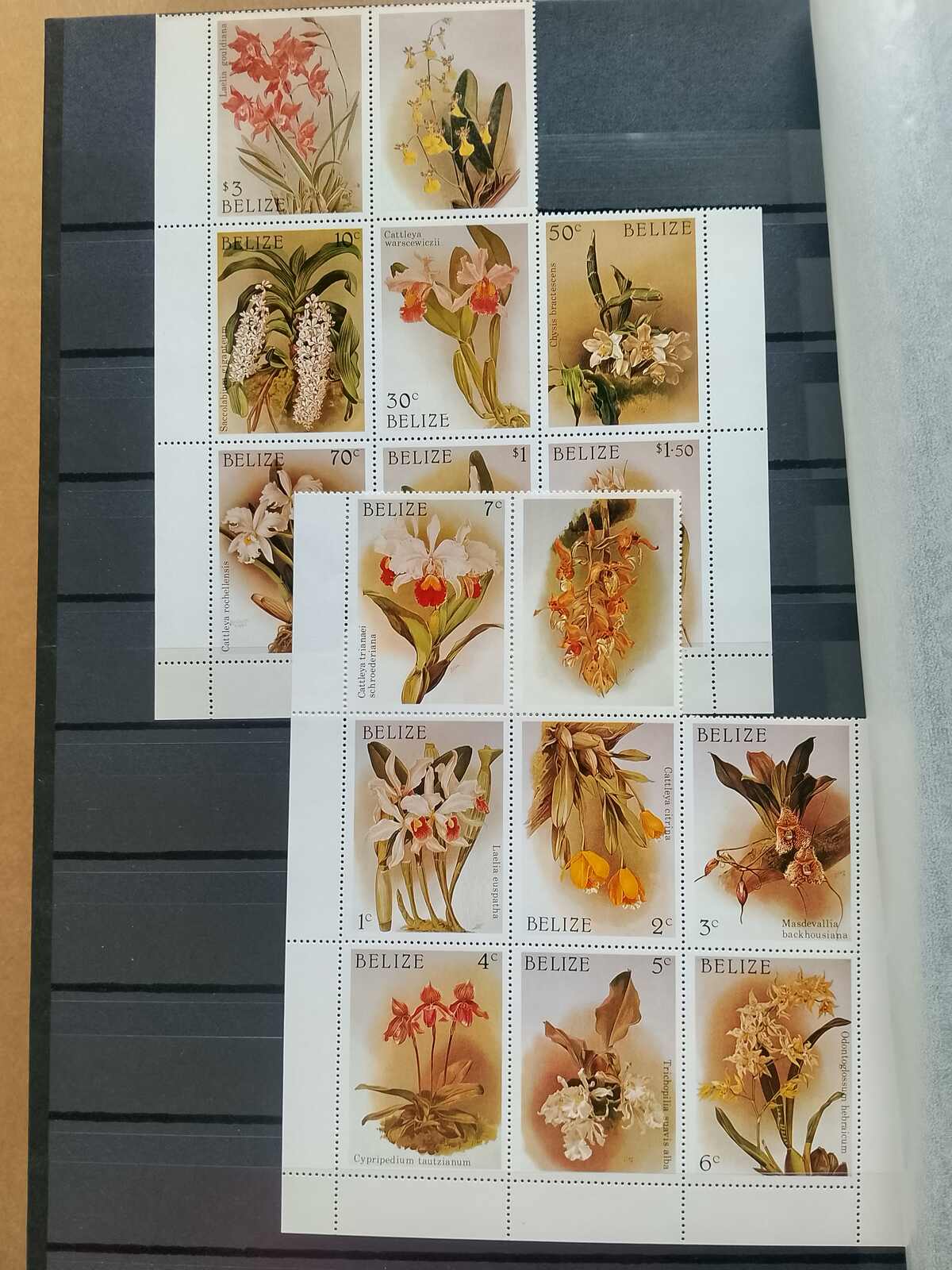 Image 148 for lot number 1332 for Auktionshaus Weiser - 787th Auction