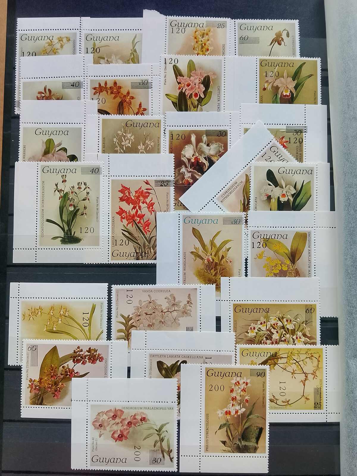 Image 150 for lot number 1332 for Auktionshaus Weiser - 787th Auction