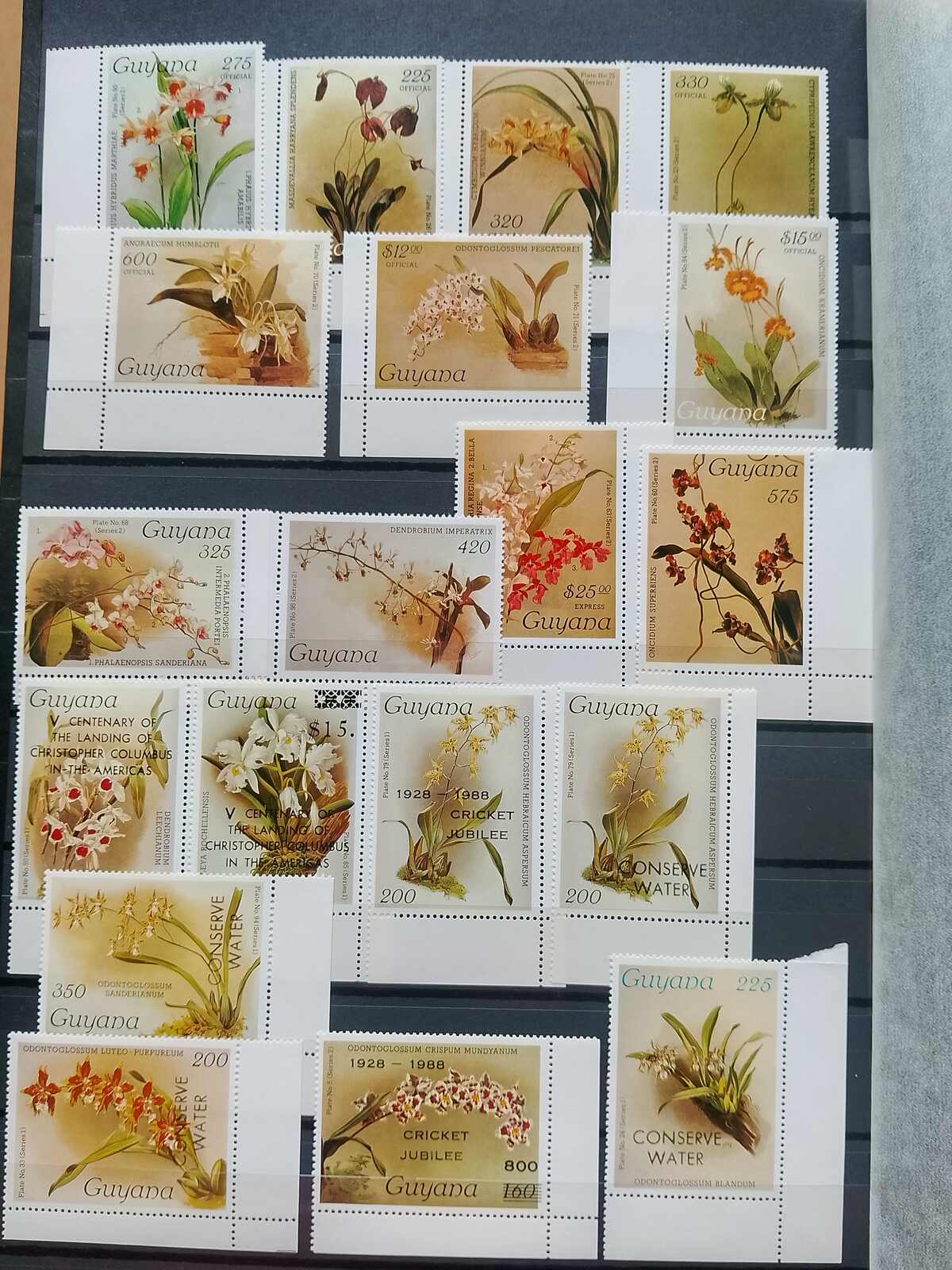 Image 152 for lot number 1332 for Auktionshaus Weiser - 787th Auction