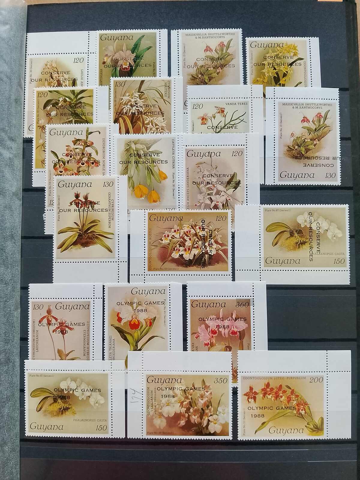 Image 153 for lot number 1332 for Auktionshaus Weiser - 787th Auction