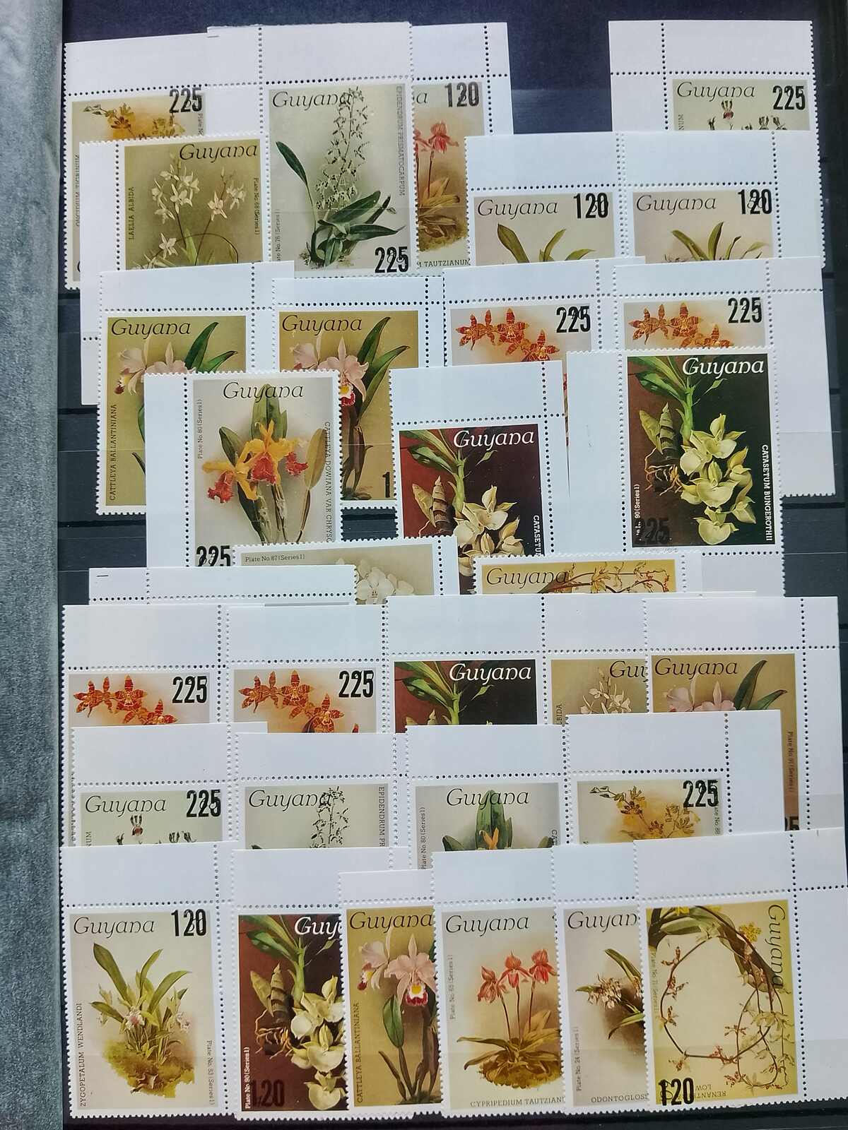 Image 154 for lot number 1332 for Auktionshaus Weiser - 787th Auction