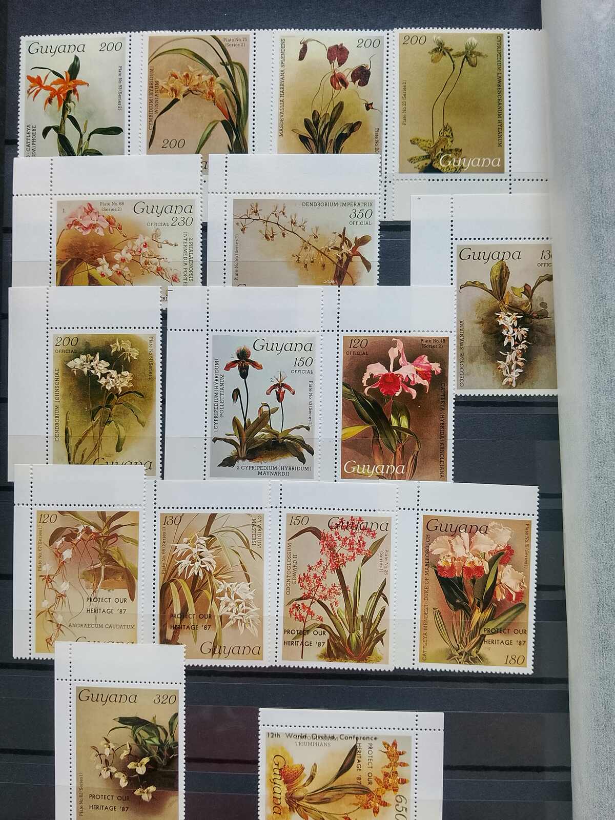 Image 155 for lot number 1332 for Auktionshaus Weiser - 787th Auction