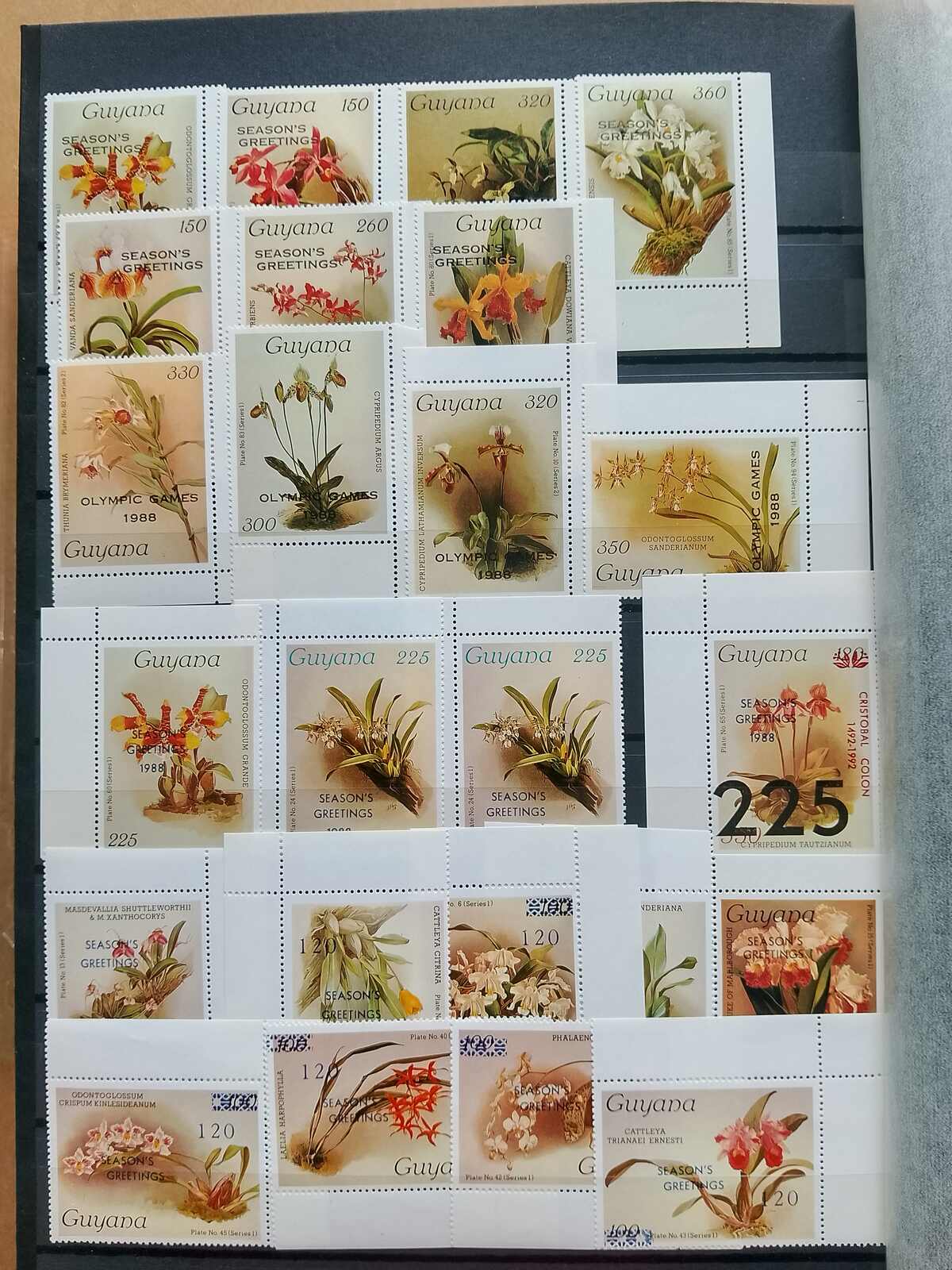 Image 159 for lot number 1332 for Auktionshaus Weiser - 787th Auction