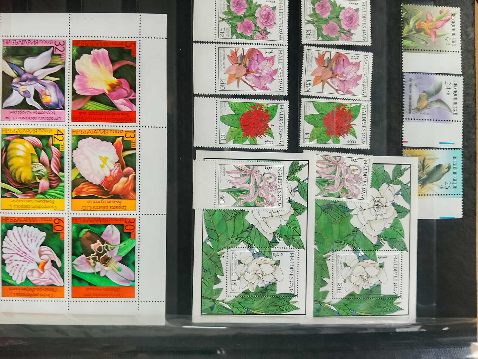 Image 163 for lot number 1332 for Auktionshaus Weiser - 787th Auction