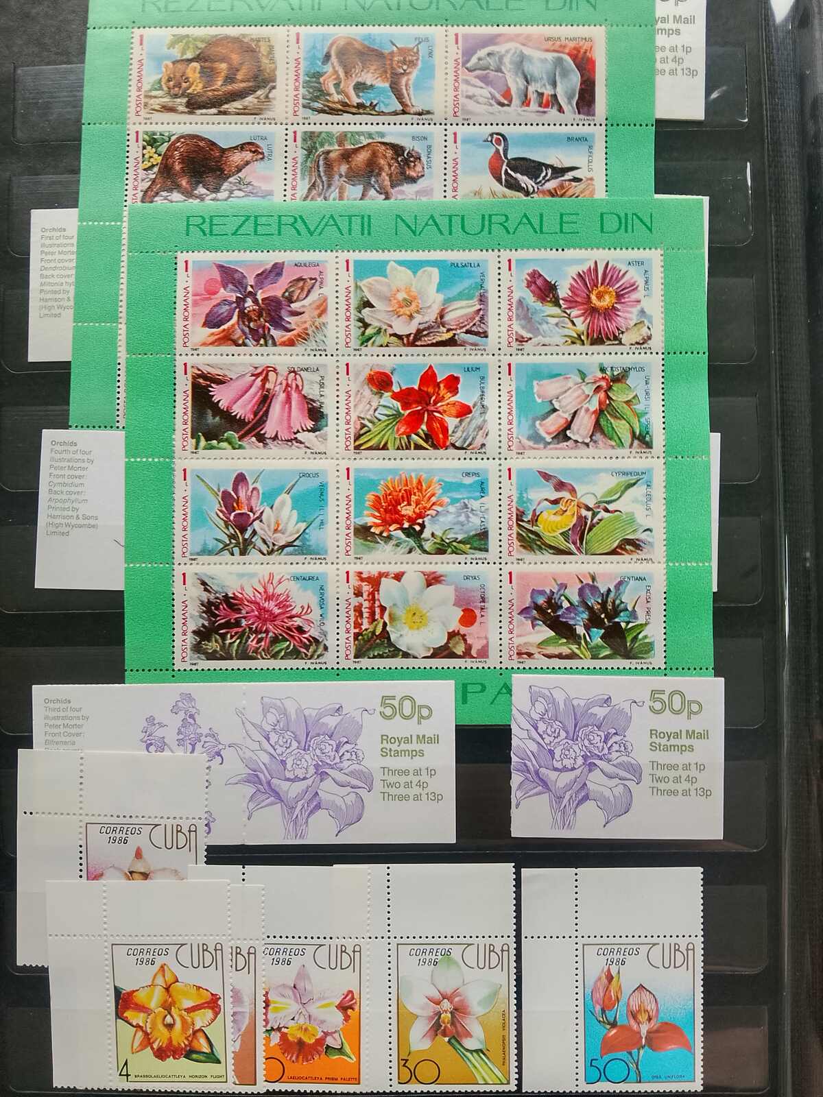 Image 167 for lot number 1332 for Auktionshaus Weiser - 787th Auction