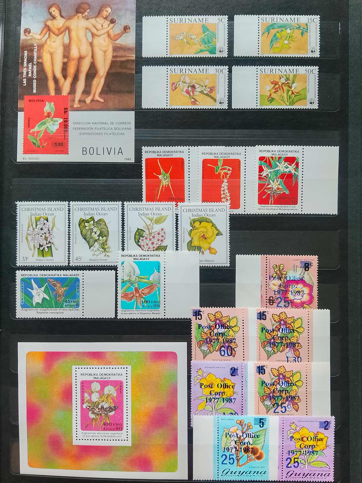 Image 168 for lot number 1332 for Auktionshaus Weiser - 787th Auction