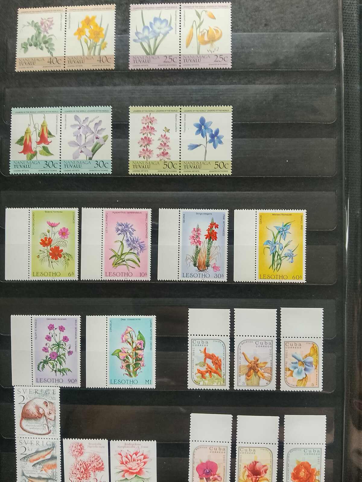 Image 169 for lot number 1332 for Auktionshaus Weiser - 787th Auction