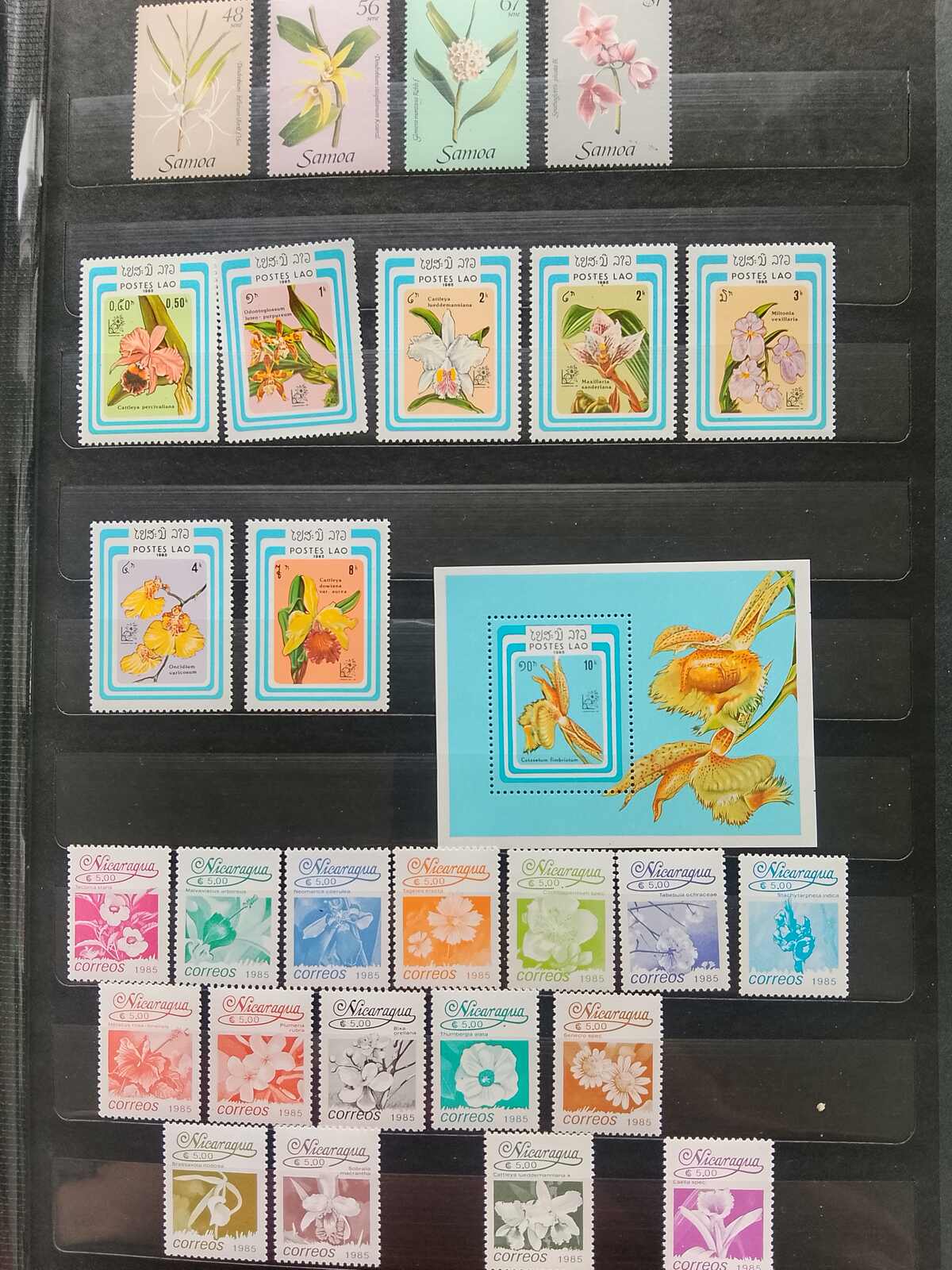 Image 170 for lot number 1332 for Auktionshaus Weiser - 787th Auction