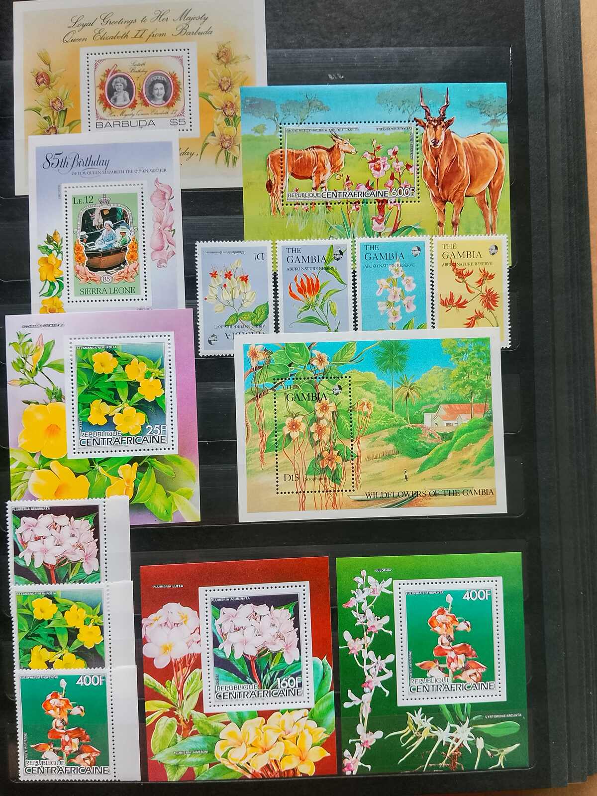 Image 174 for lot number 1332 for Auktionshaus Weiser - 787th Auction