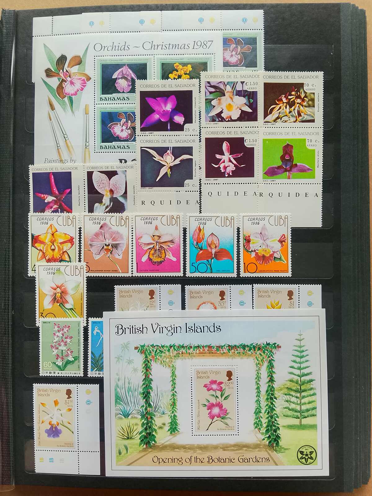 Image 176 for lot number 1332 for Auktionshaus Weiser - 787th Auction