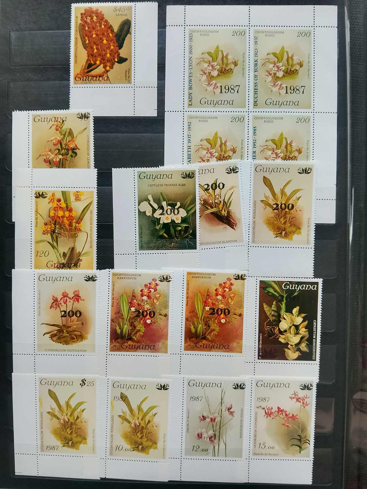 Image 177 for lot number 1332 for Auktionshaus Weiser - 787th Auction