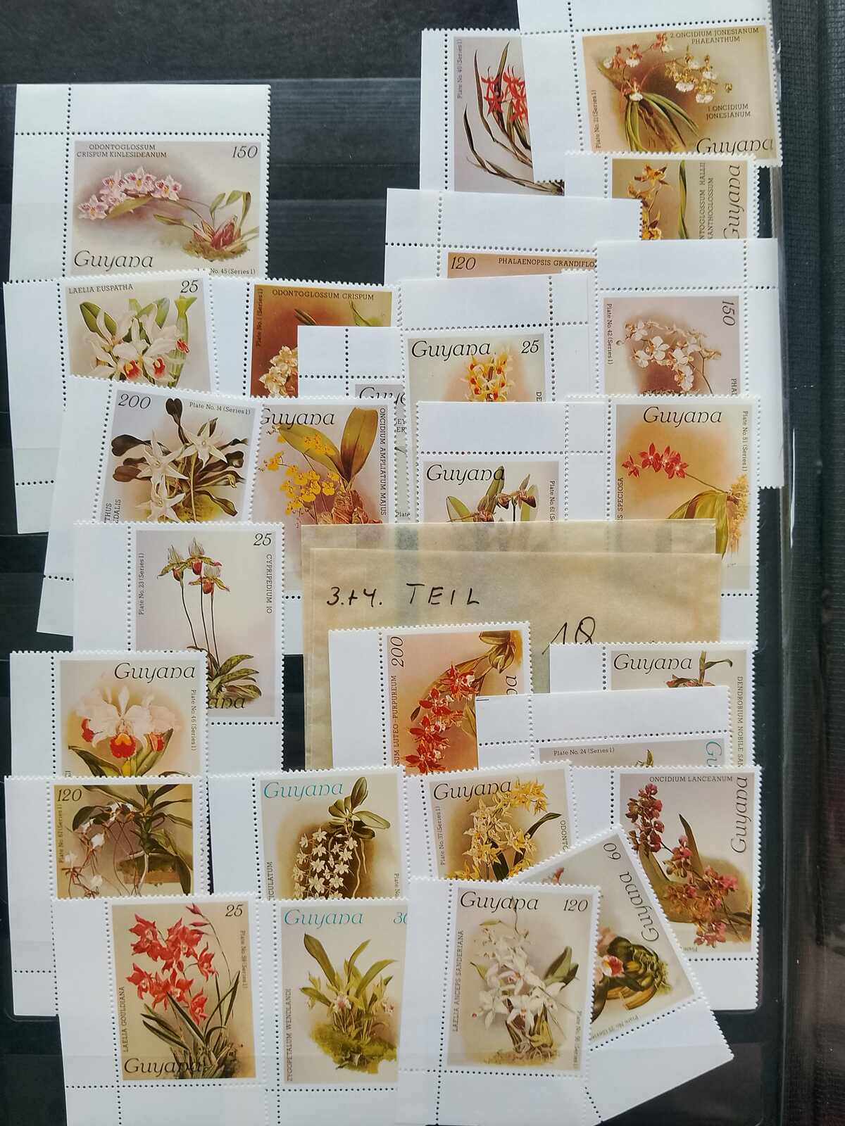 Image 179 for lot number 1332 for Auktionshaus Weiser - 787th Auction