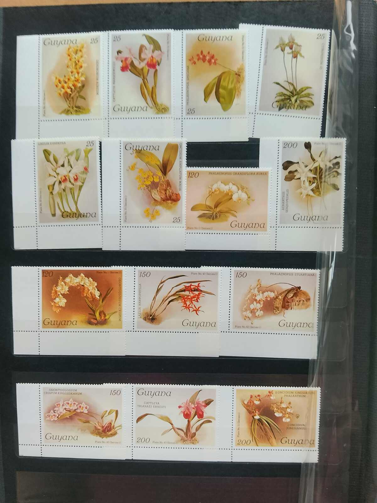 Image 182 for lot number 1332 for Auktionshaus Weiser - 787th Auction