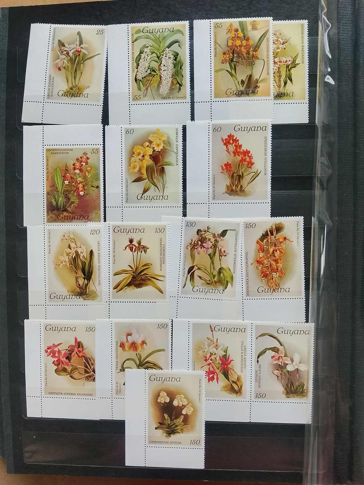 Image 184 for lot number 1332 for Auktionshaus Weiser - 787th Auction