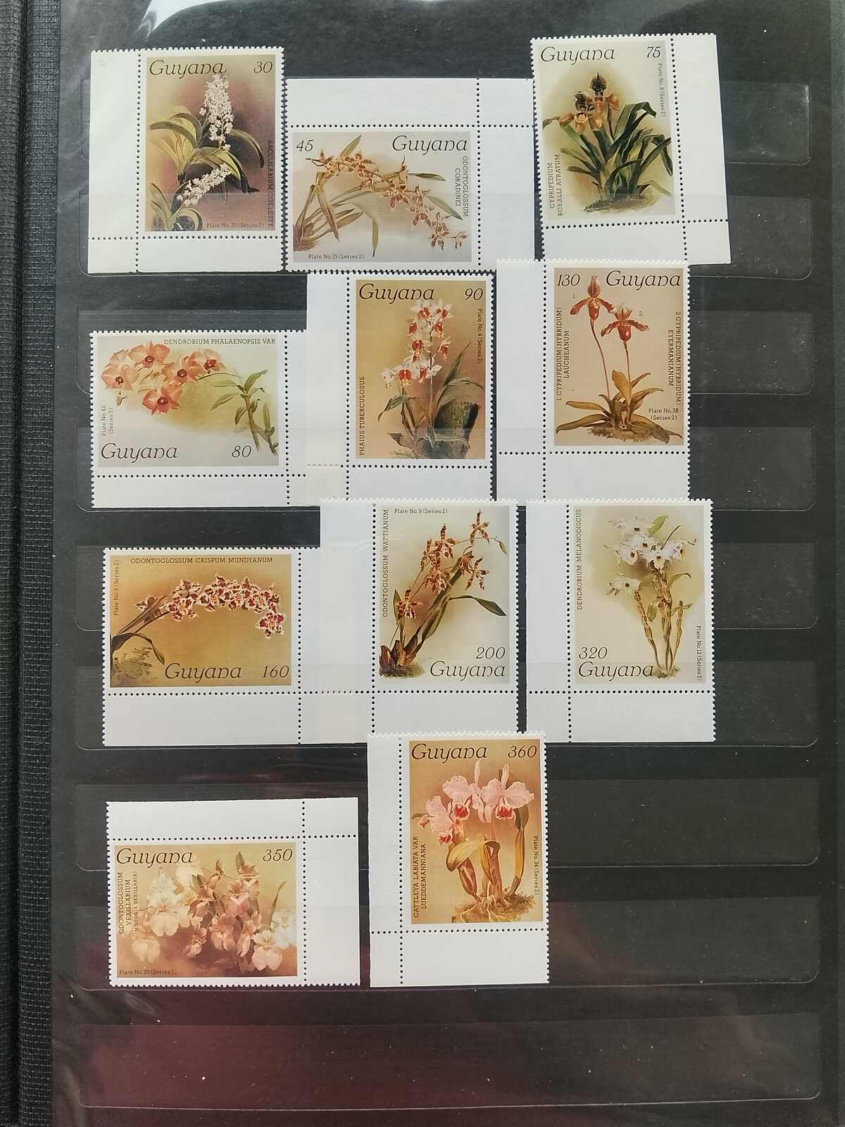 Image 185 for lot number 1332 for Auktionshaus Weiser - 787th Auction