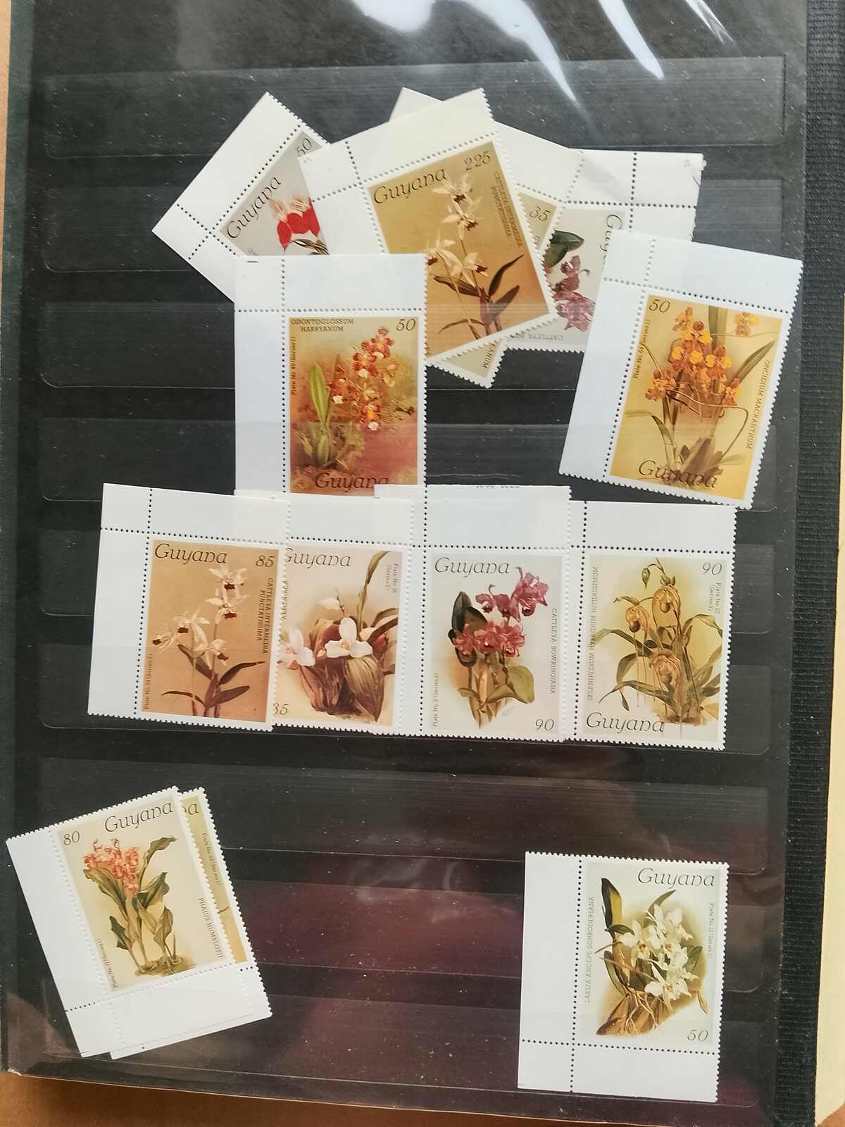 Image 188 for lot number 1332 for Auktionshaus Weiser - 787th Auction