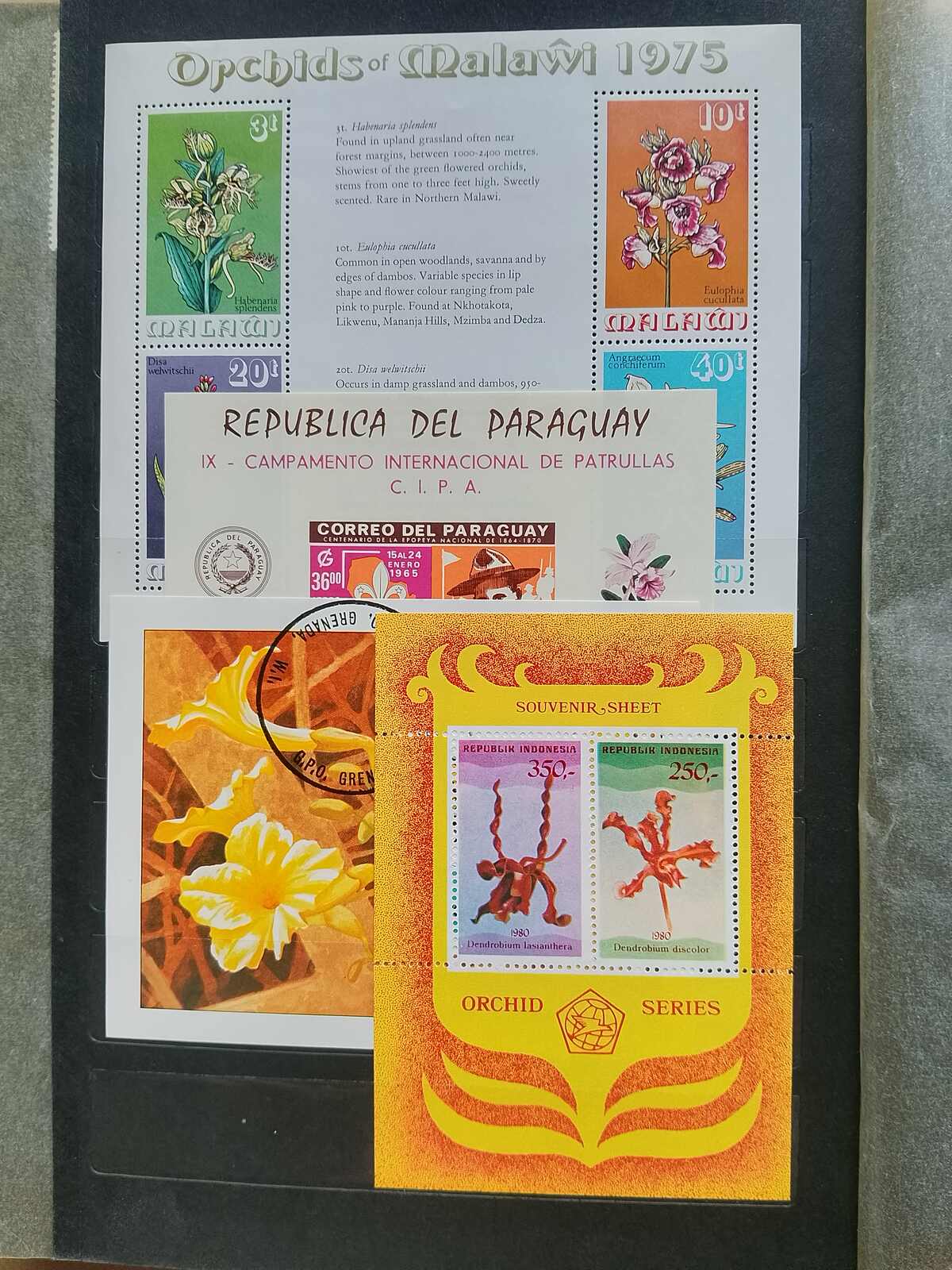 Image 8 for lot number 1332 for Auktionshaus Weiser - 787th Auction