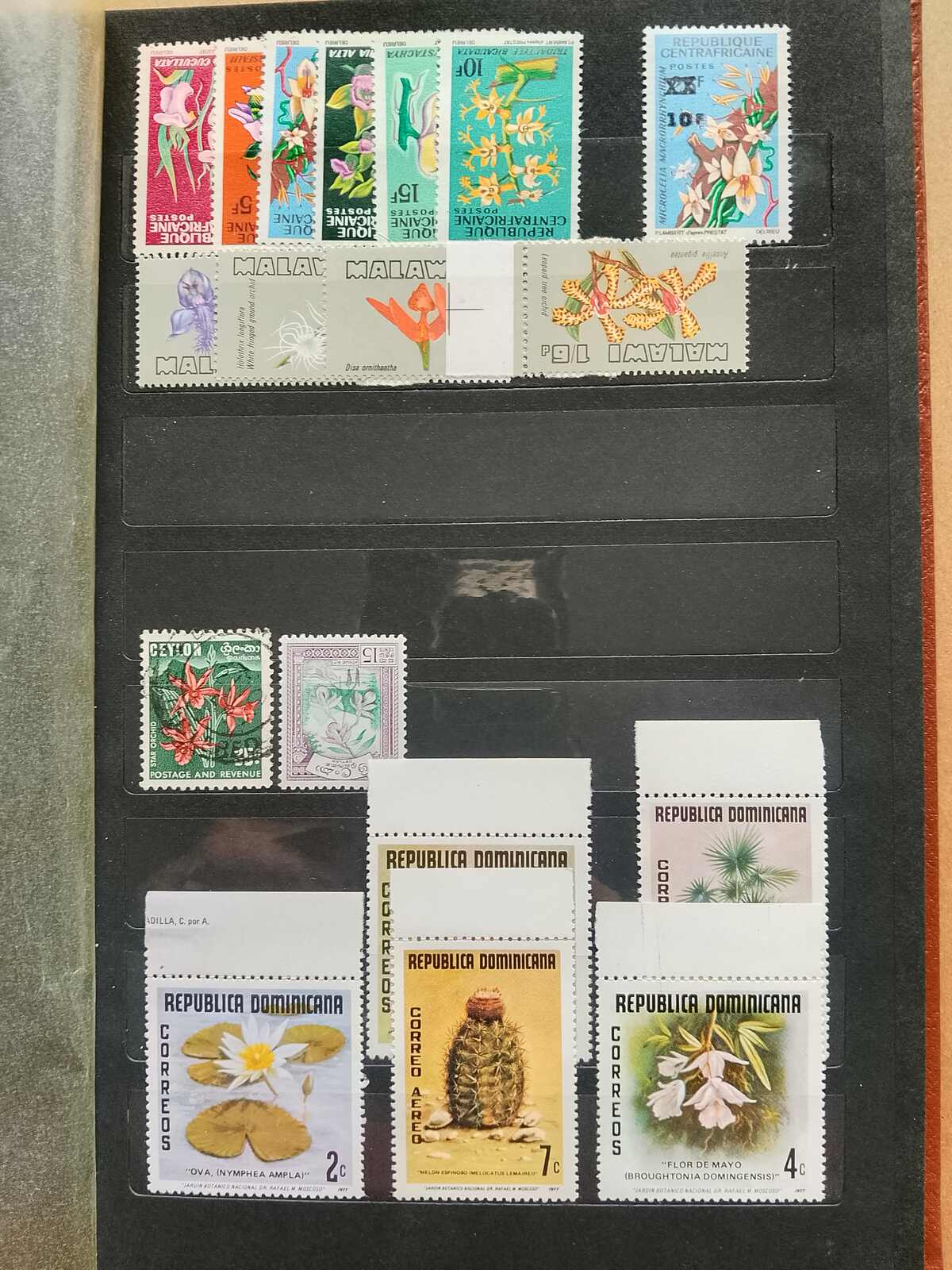 Image 13 for lot number 1332 for Auktionshaus Weiser - 787th Auction