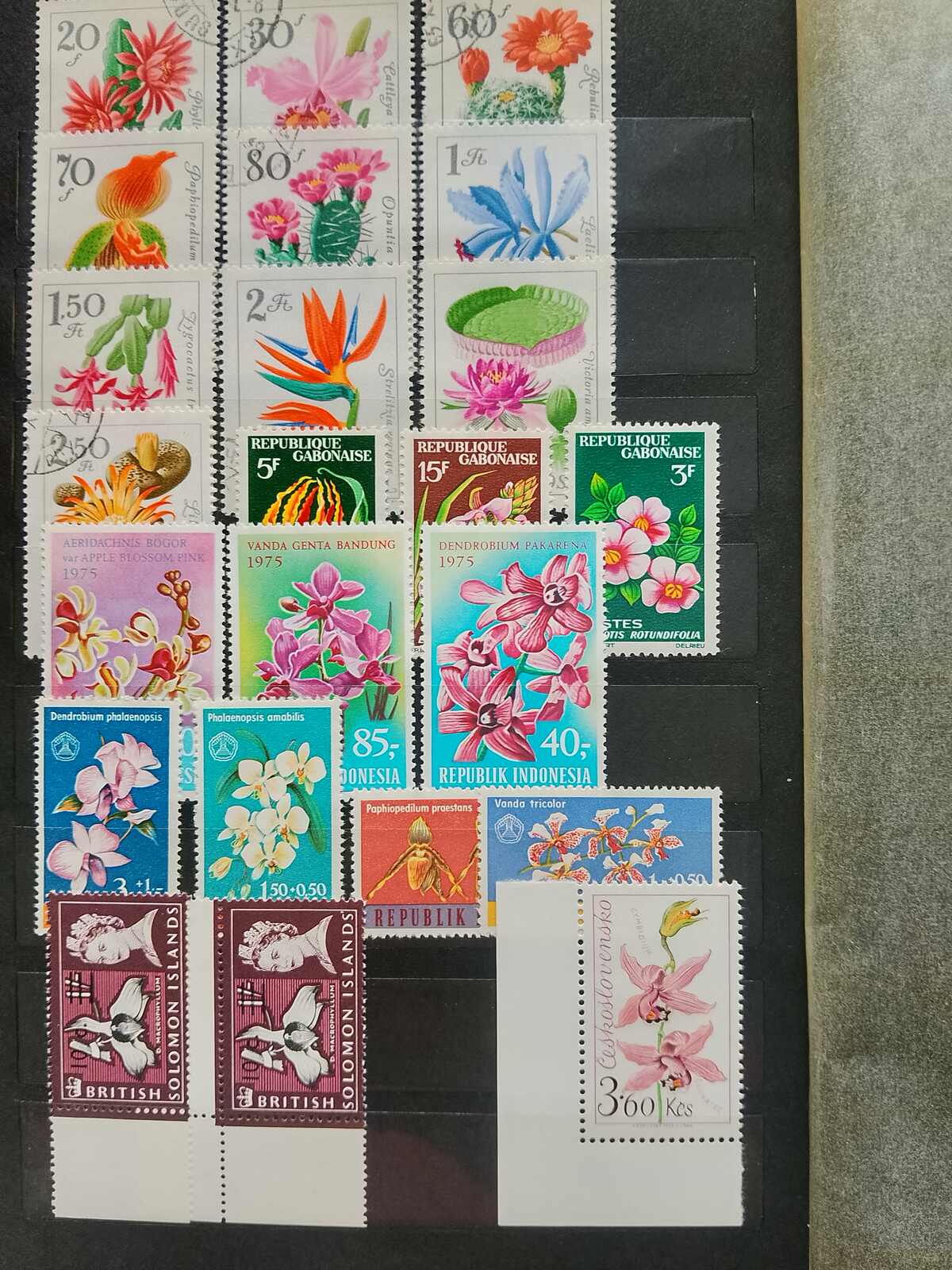 Image 14 for lot number 1332 for Auktionshaus Weiser - 787th Auction