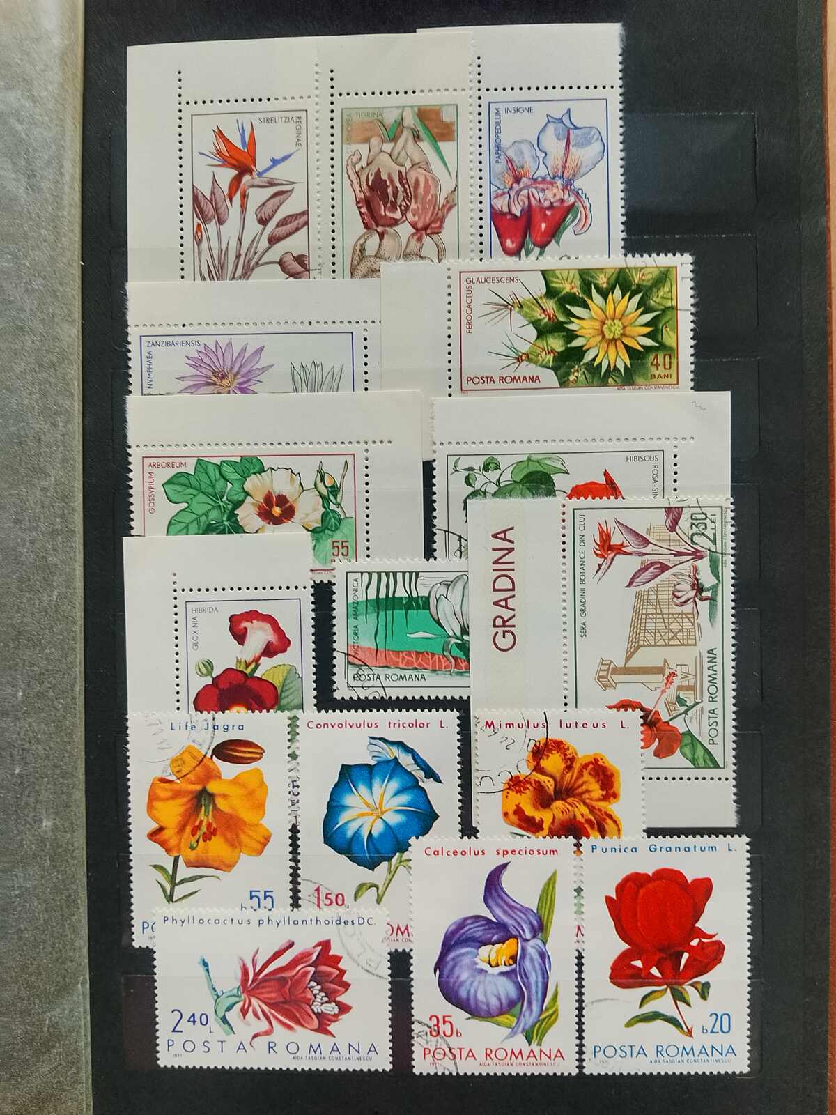 Image 15 for lot number 1332 for Auktionshaus Weiser - 787th Auction