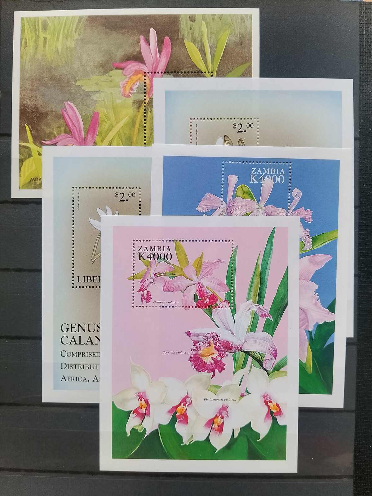 Image 26 for lot number 1332 for Auktionshaus Weiser - 787th Auction