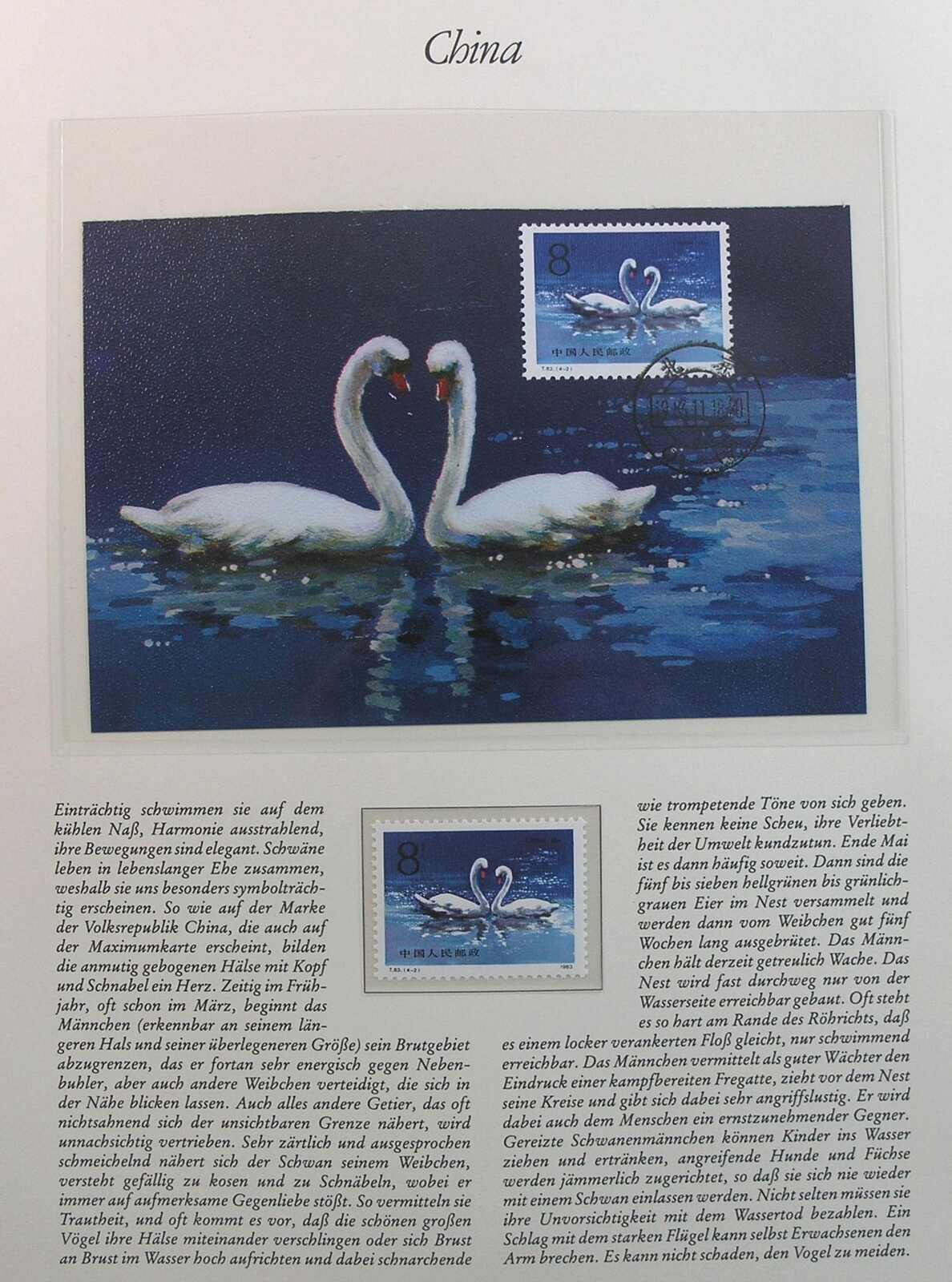 Image 28 for lot number 1158 for Auktionshaus Weiser - 788th Auction